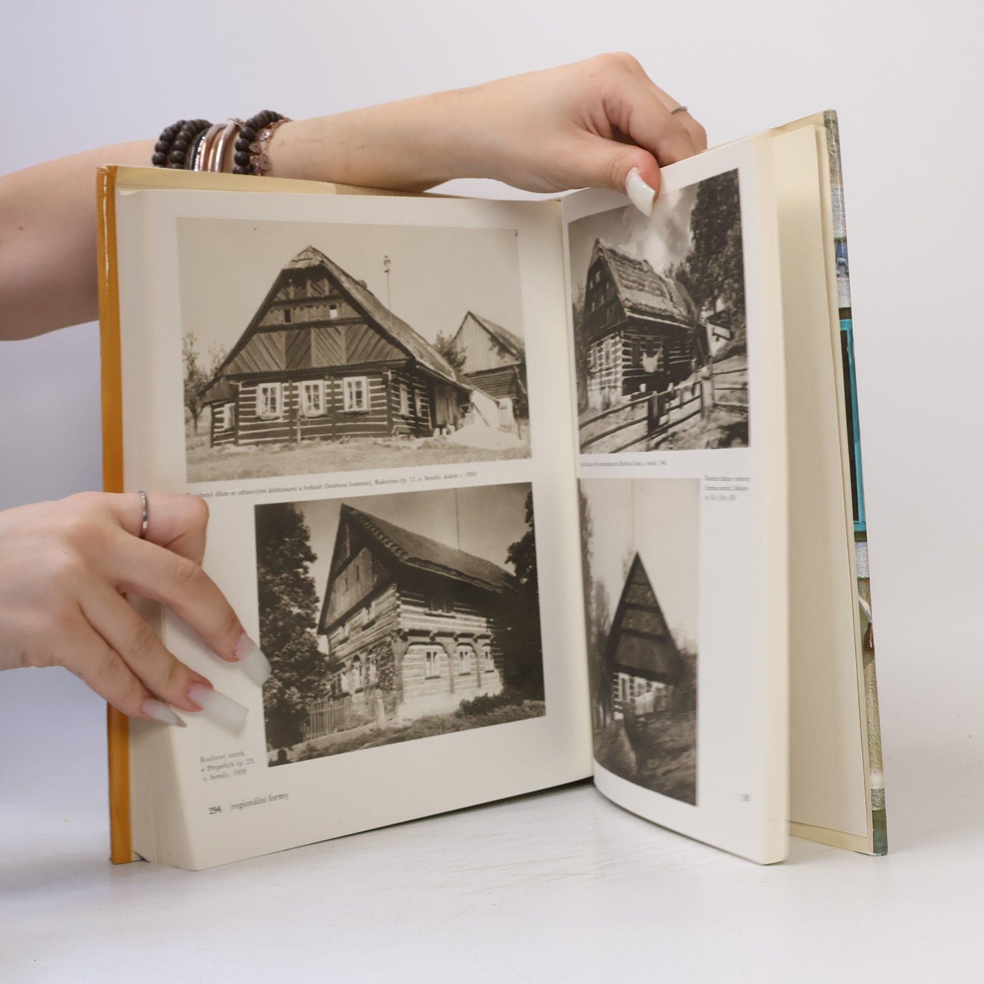 Václav Frolec Lidová architektura