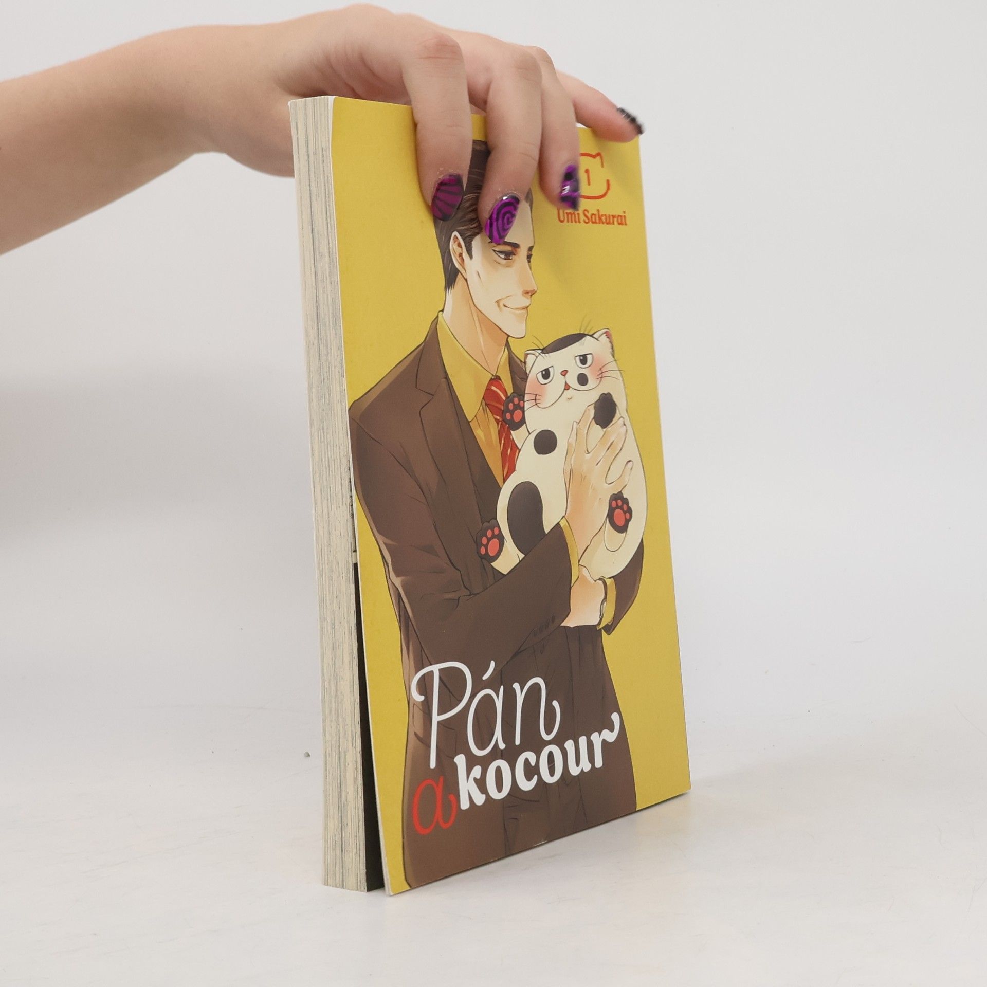 Umi Sakurai Pán a kocour 1