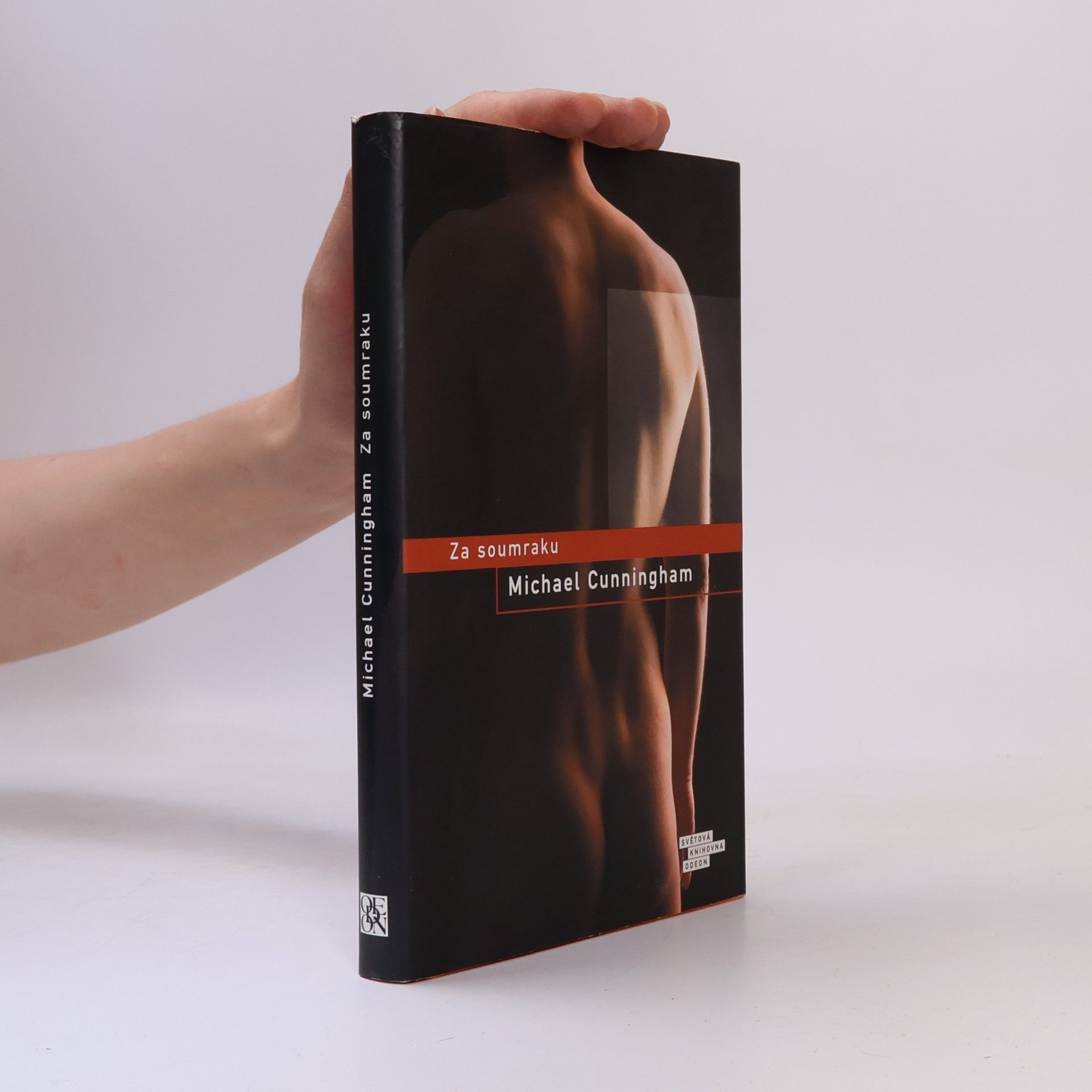 Michael Cunningham Za soumraku