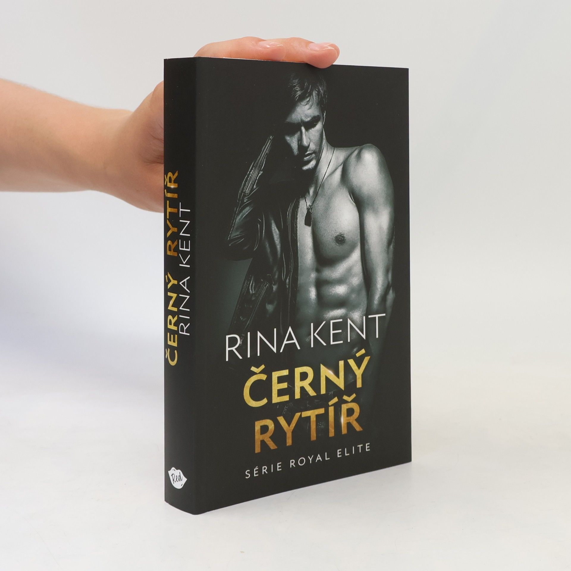 Rina Kent Černý rytíř