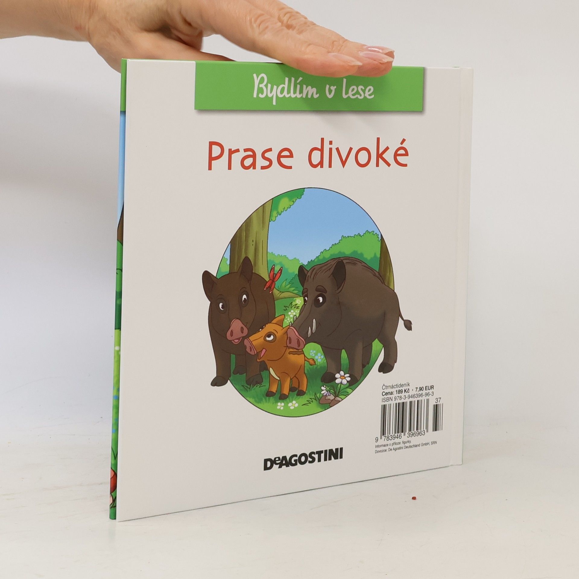 Autorenkollektiv Bydlím v lese 28. Prase divoké