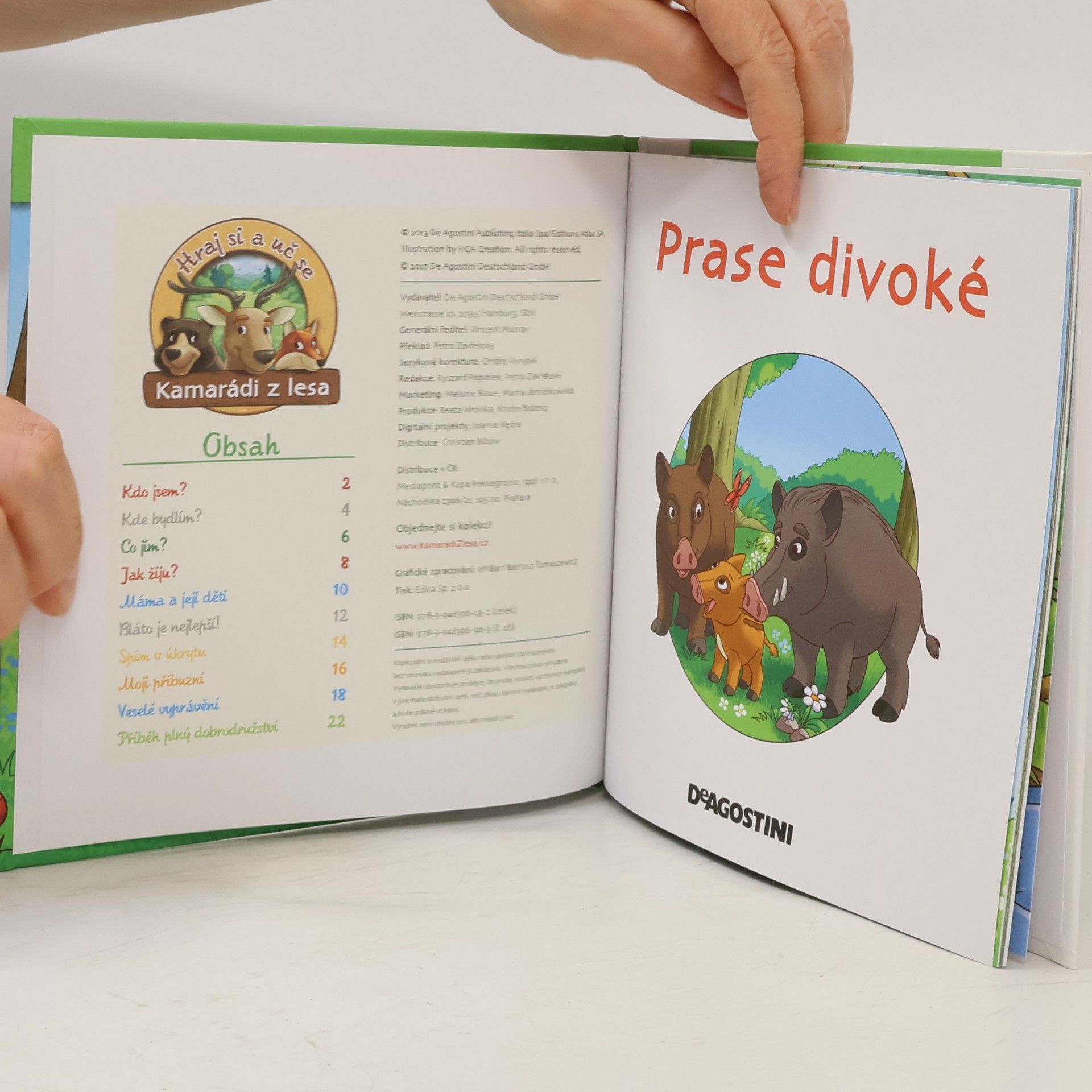 Autorenkollektiv Bydlím v lese 28. Prase divoké