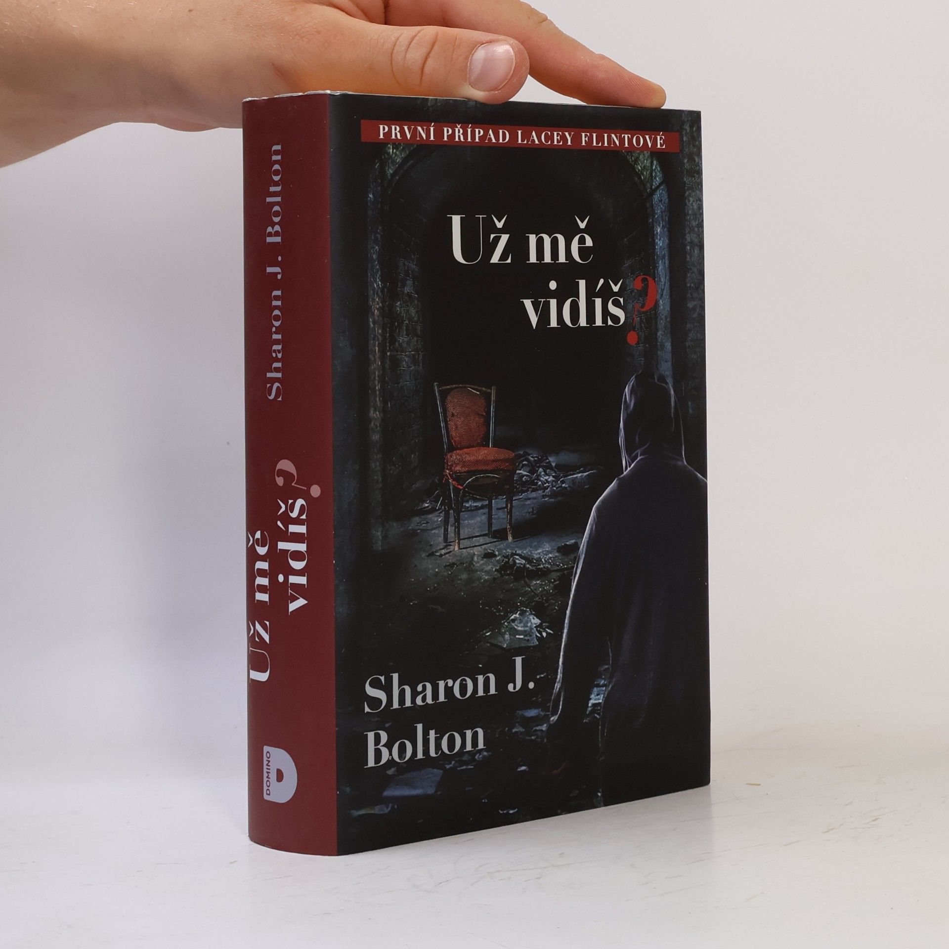 S. J. Bolton Už mě vidíš?