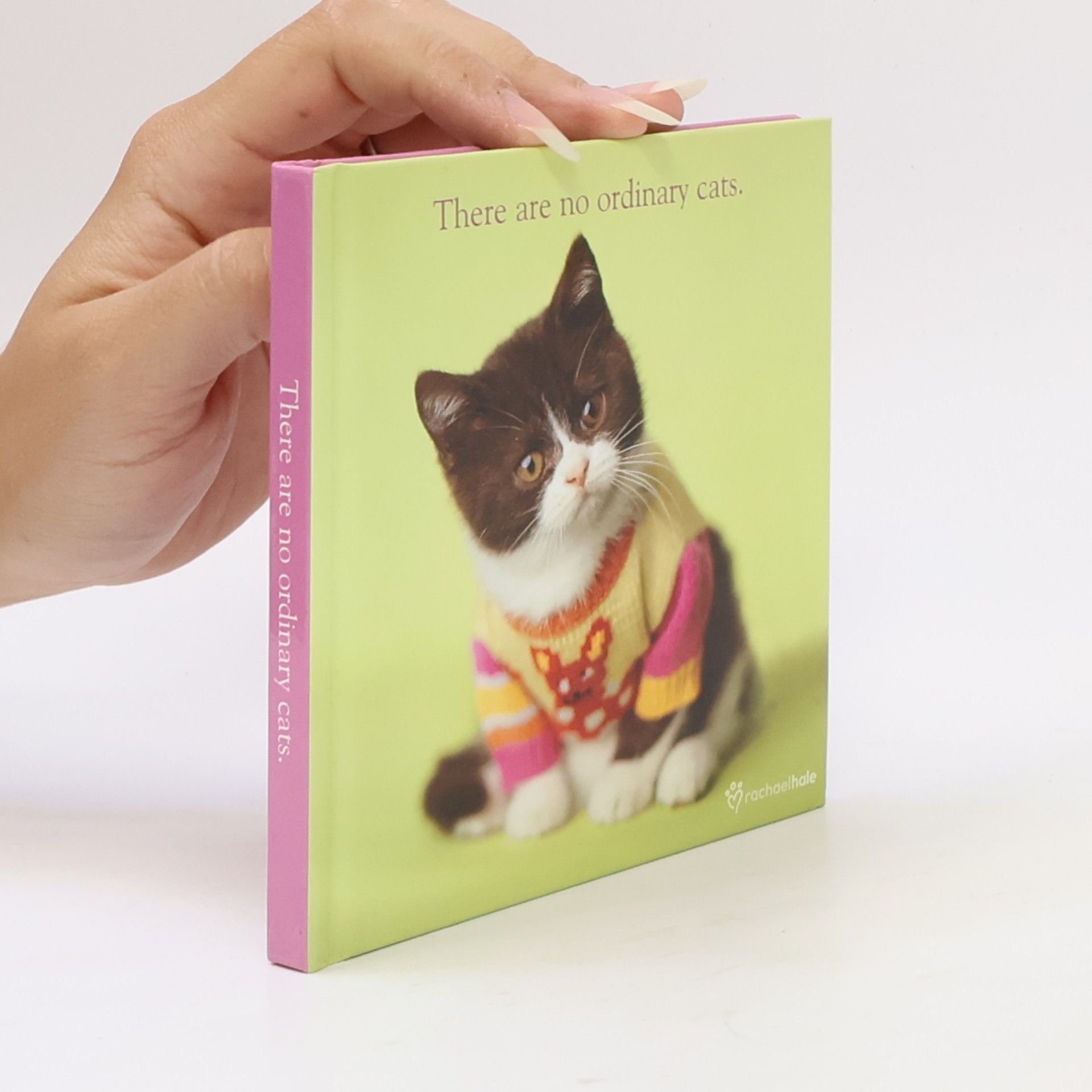 Rachael McKenna There Are No Ordinary Cats.