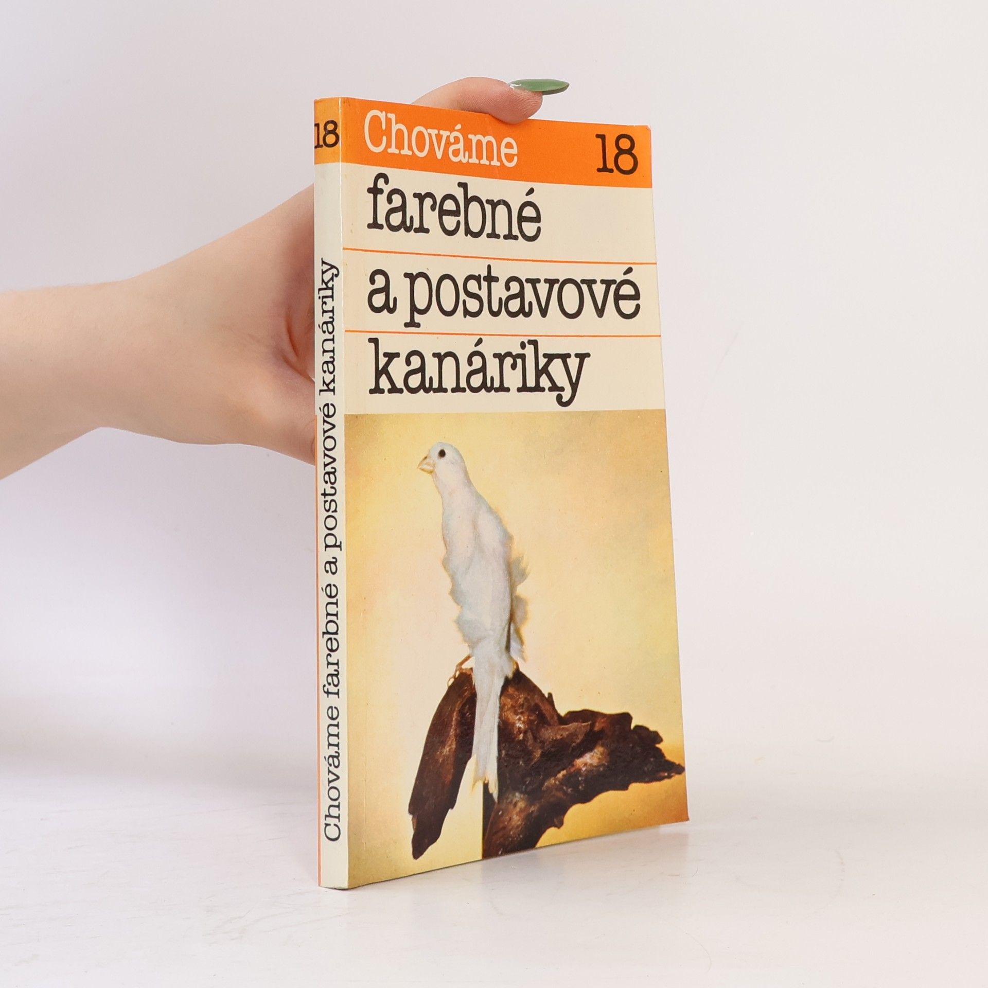 Chováme farebné a postavové kanáriky