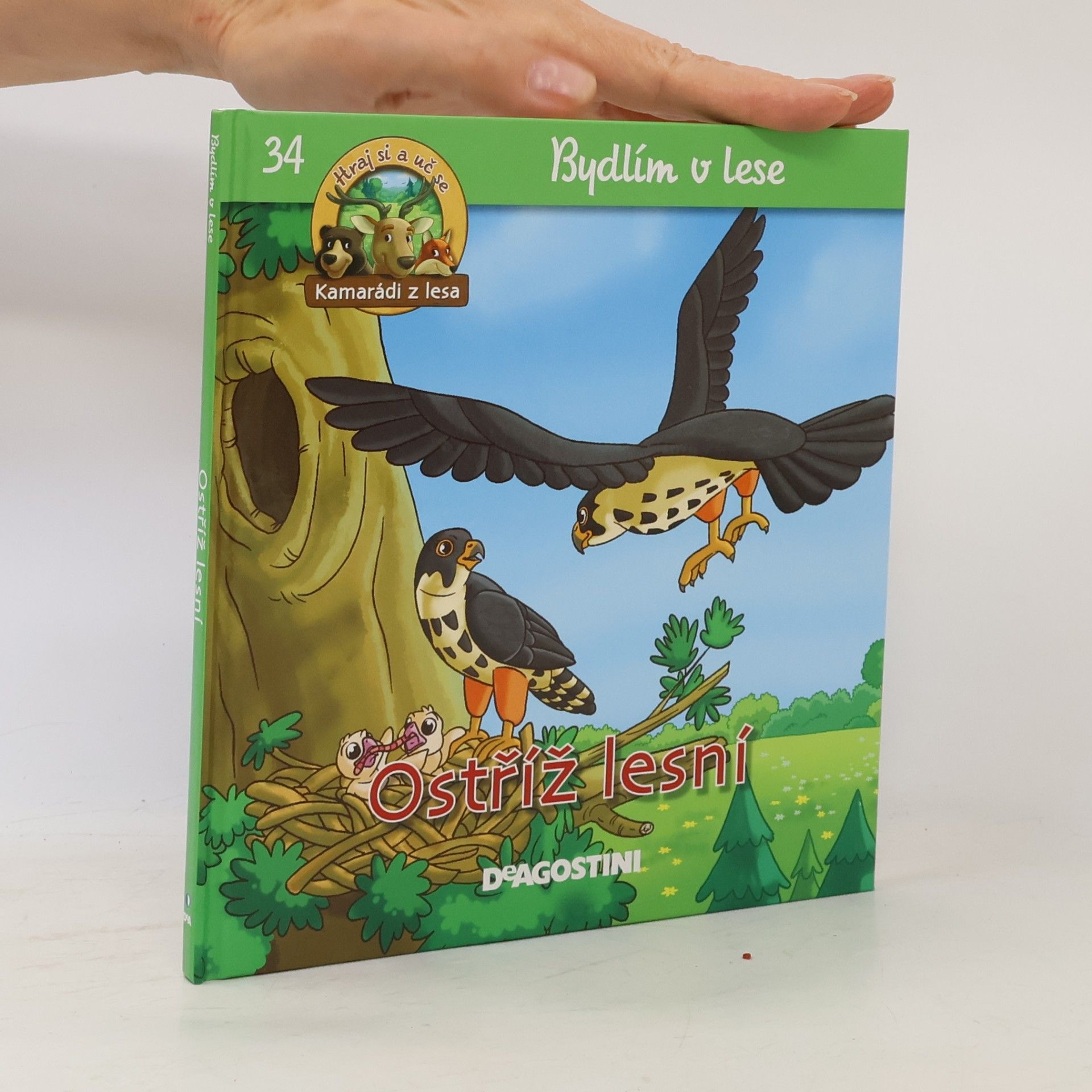 Collectif d'auteurs Bydlím v lese. Ostříž lesní. 34