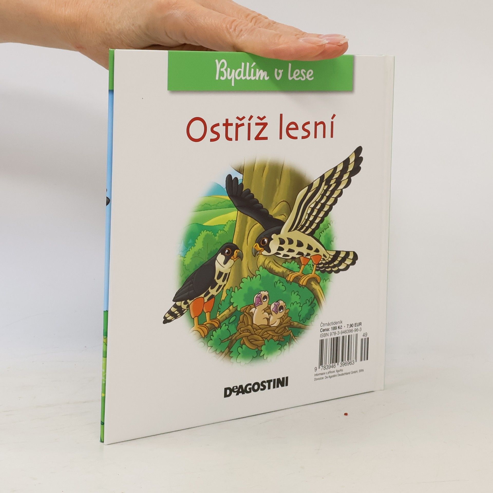 Kolektiv autorů Bydlím v lese. Ostříž lesní. 34