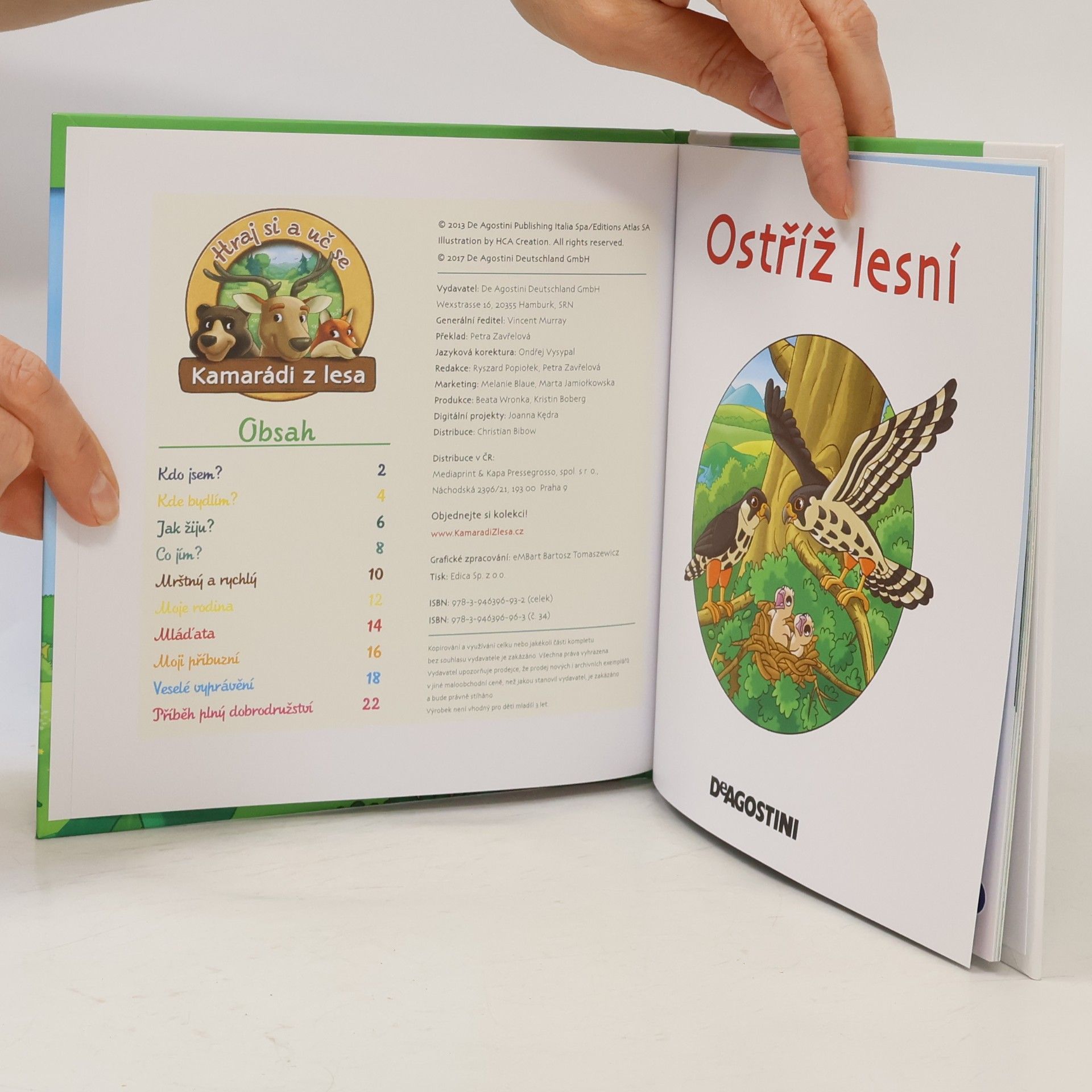 Kolektiv autorů Bydlím v lese. Ostříž lesní. 34
