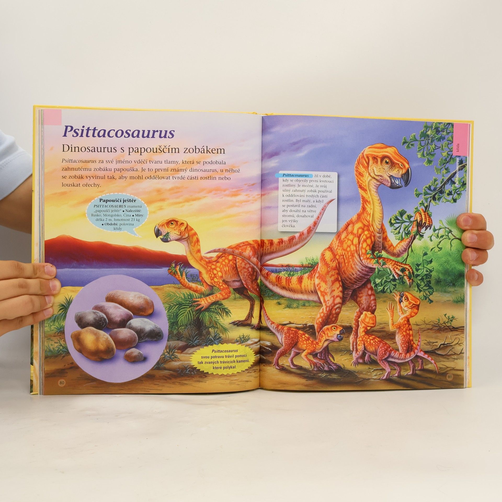 Francisco Arredondo Dinosauři a prehistorický svět