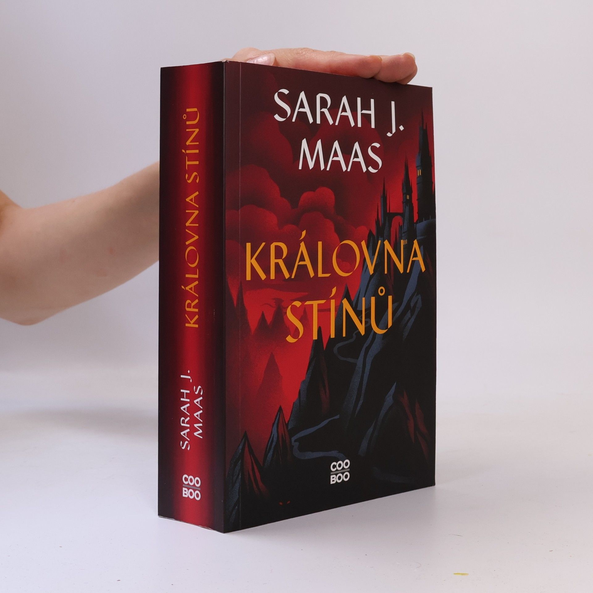 Sarah J. Maasová Královna stínů