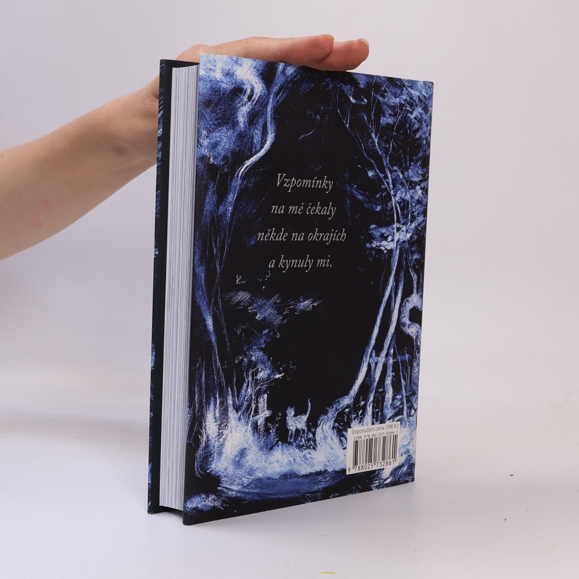 Neil Gaiman Oceán na konci cesty