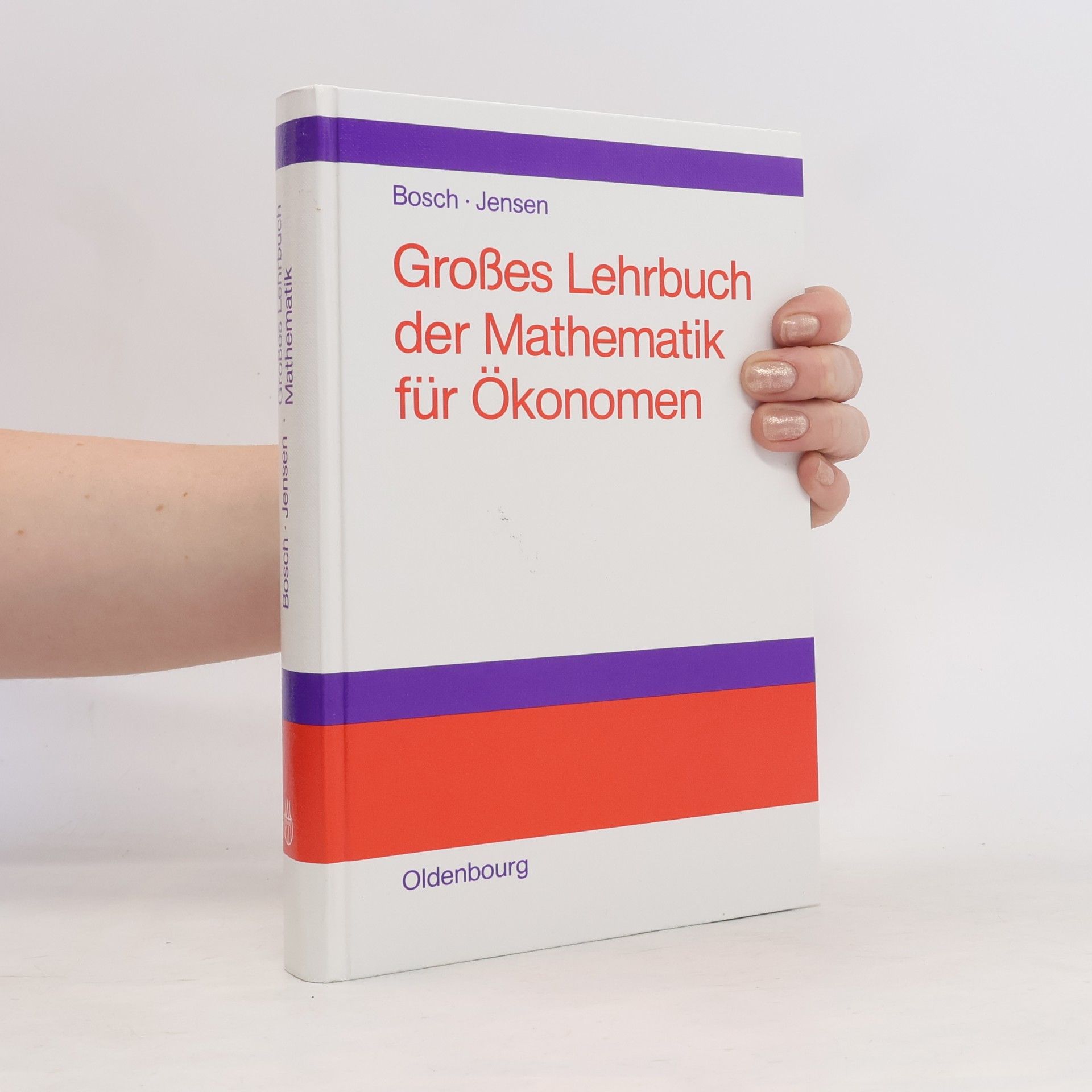 Uwe Jensen Grosses Lehrbuch der Mathematik für Ökonomen
