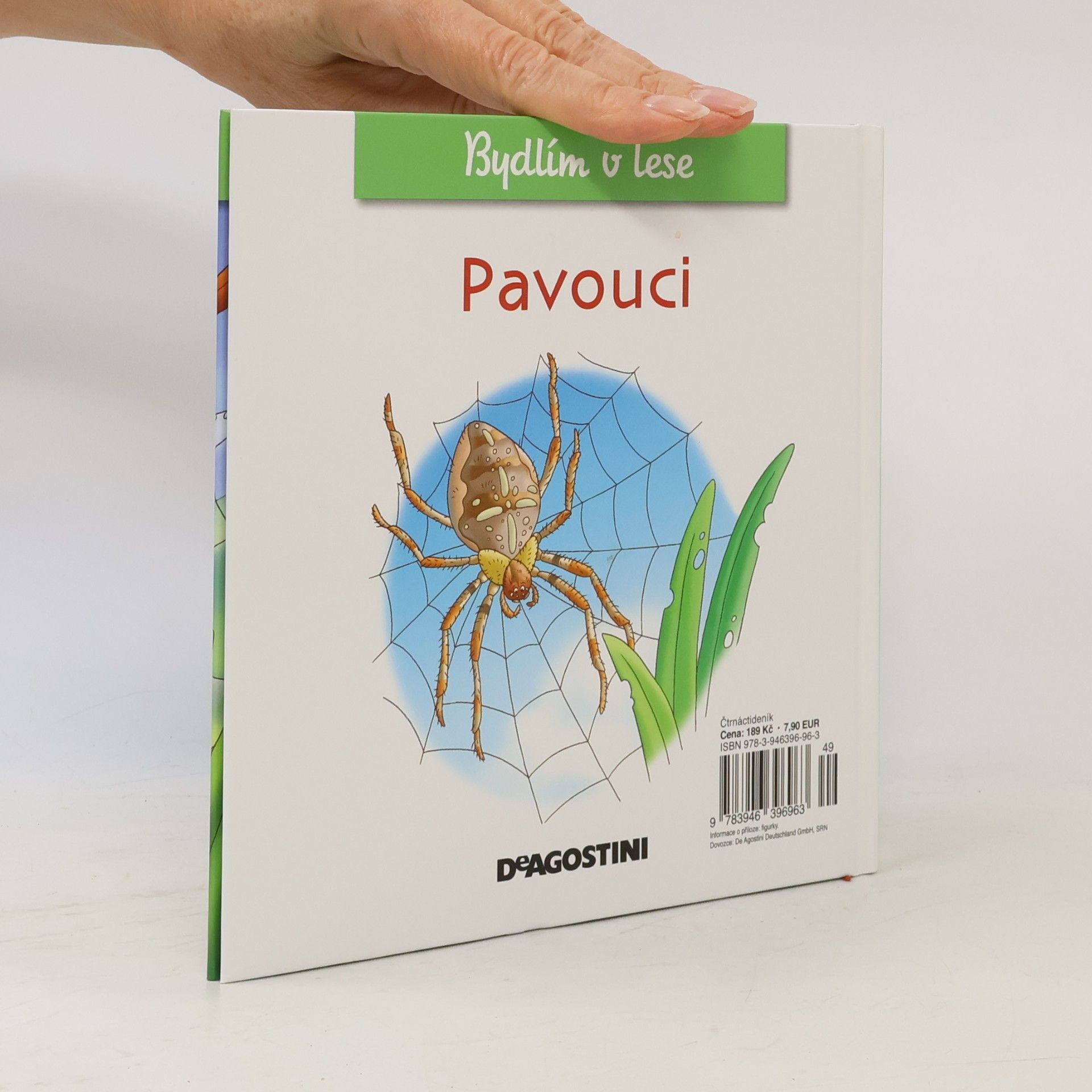 Autorenkollektiv Bydlím v lese 60. Pavouci