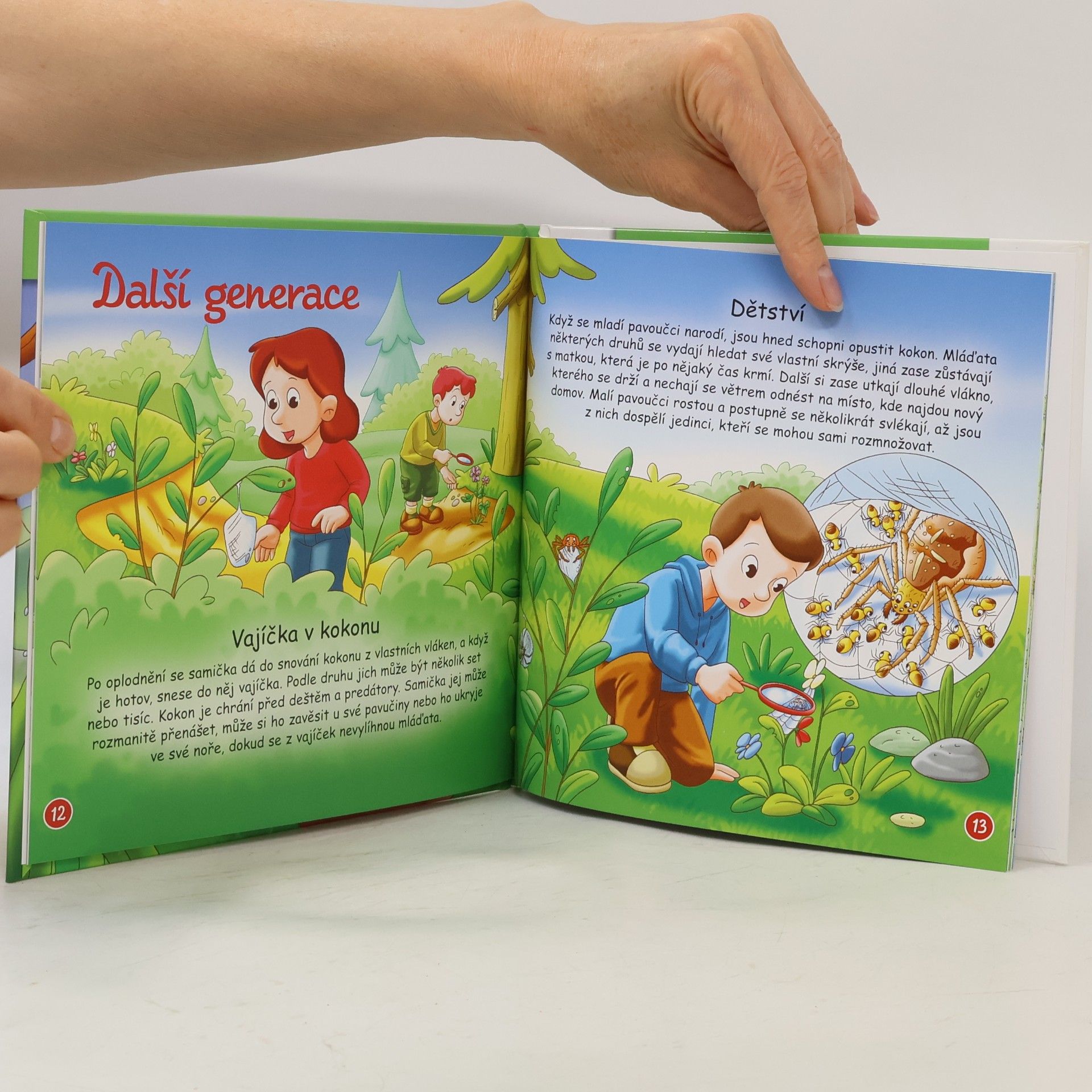 Autorenkollektiv Bydlím v lese 60. Pavouci