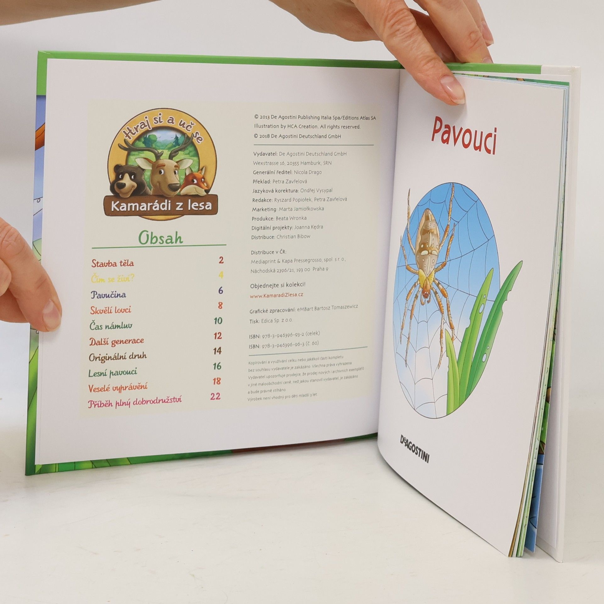 Autorenkollektiv Bydlím v lese 60. Pavouci