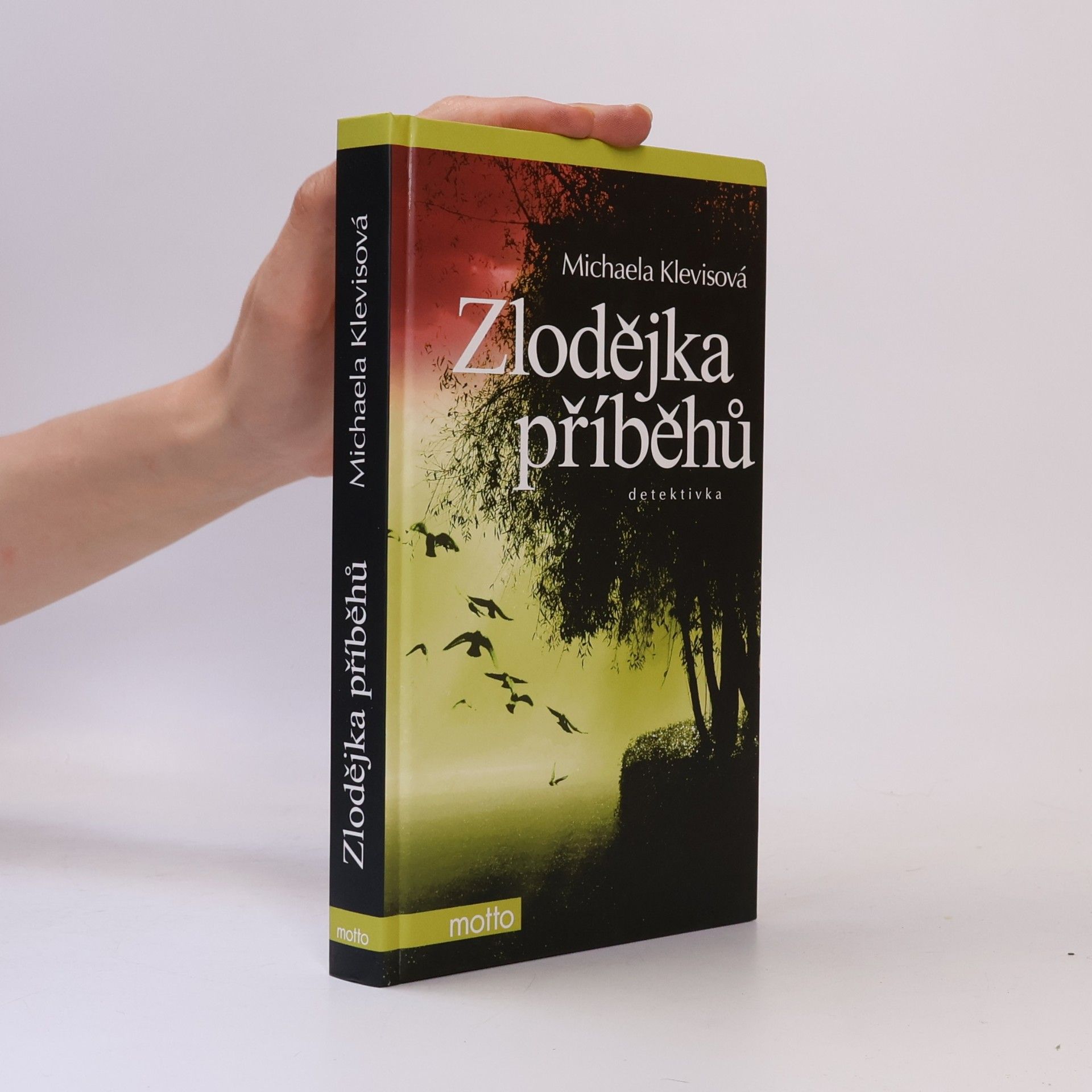 Michaela Klevisová Zlodějka příběhů