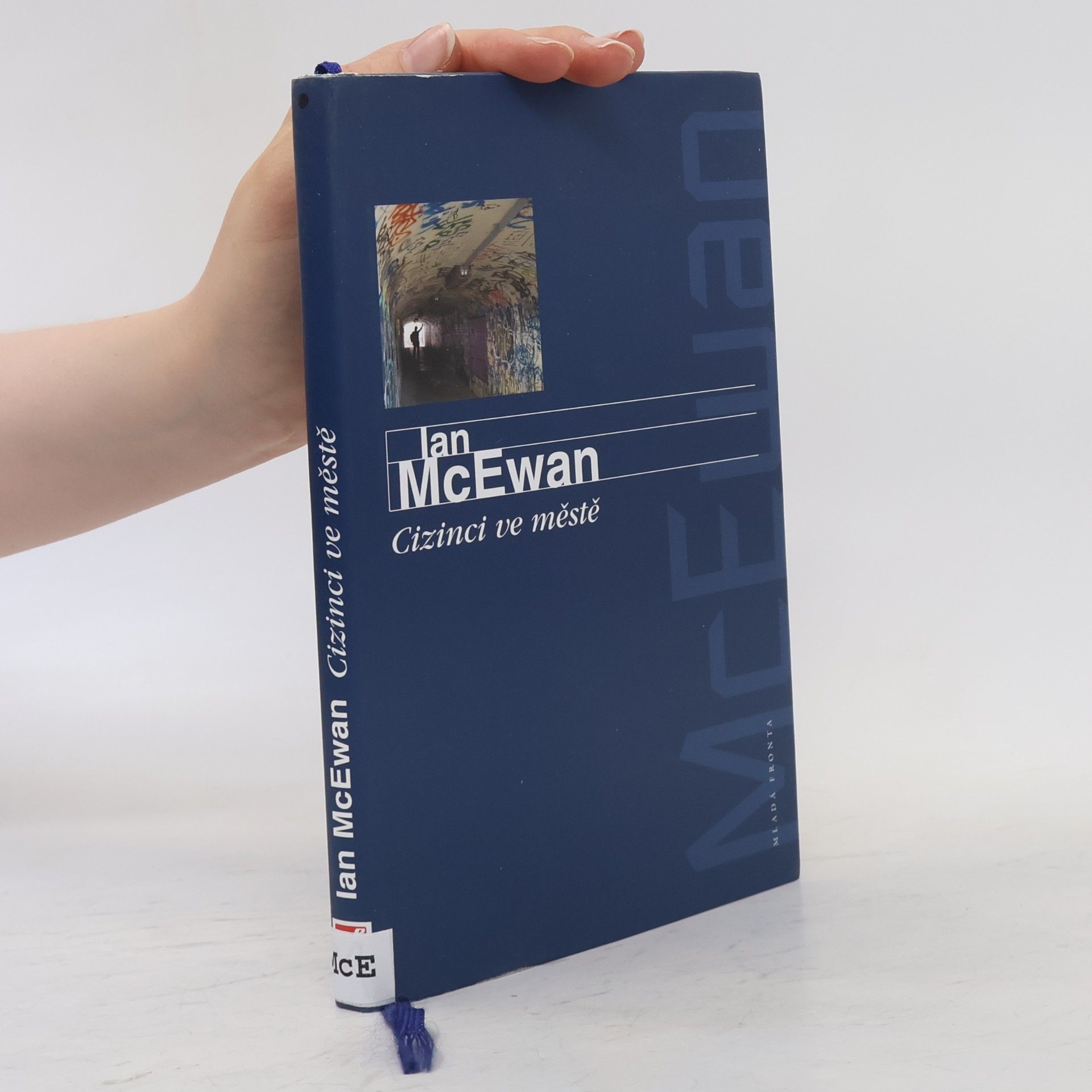 Ian McEwan Cizinci ve městě