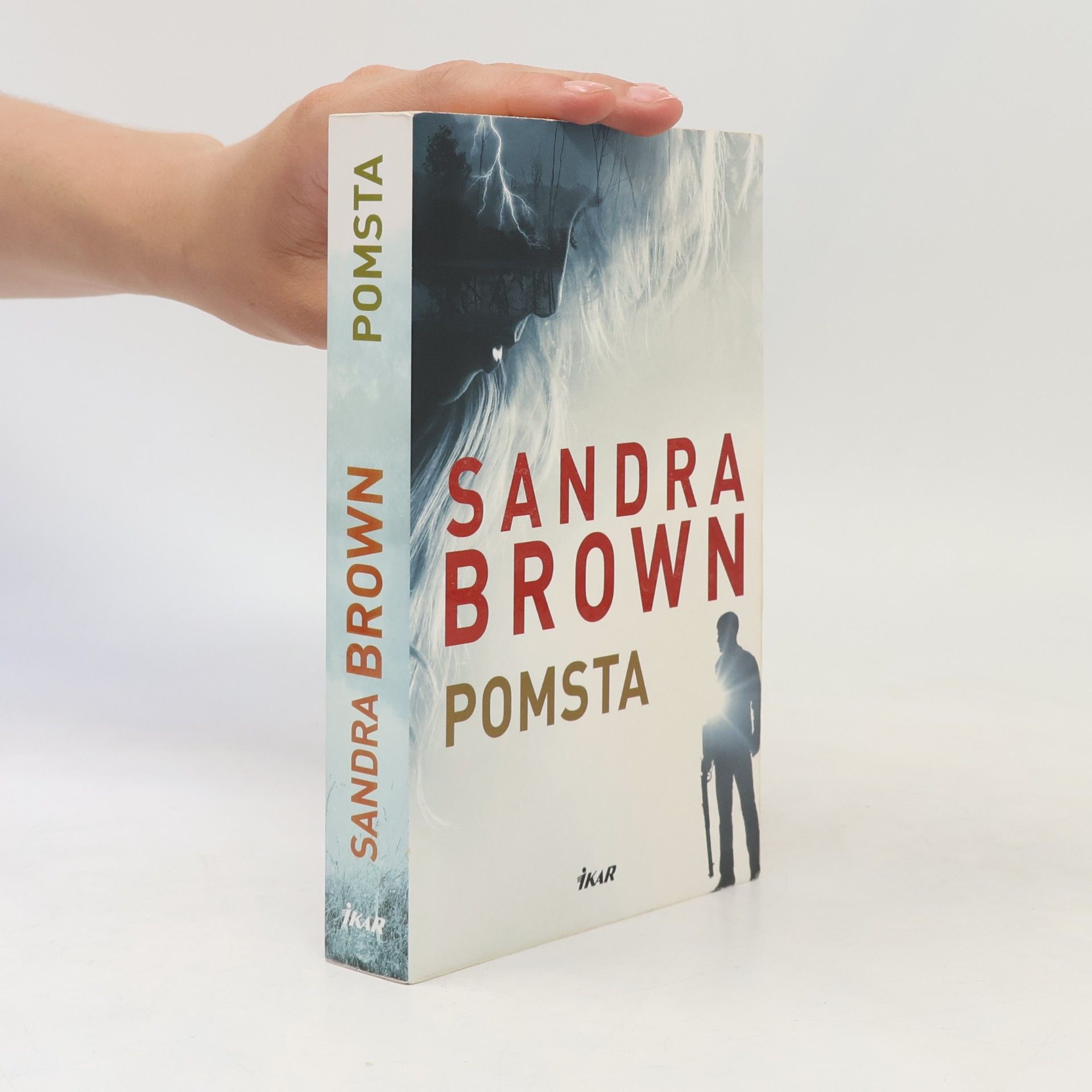 Sandra Brown Pomsta