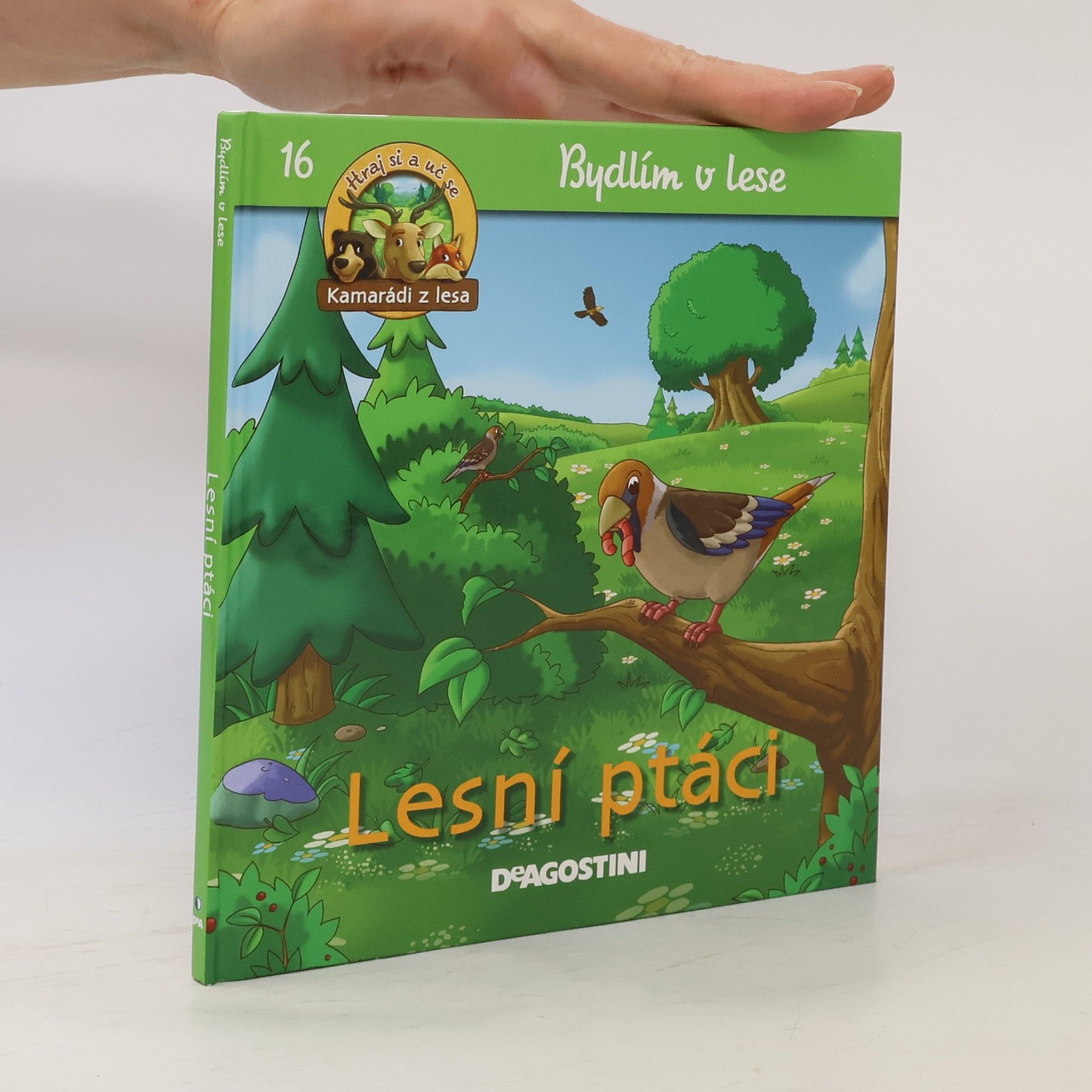 Petra Zavřelová Bydlím v lese 16. Lesní ptáci