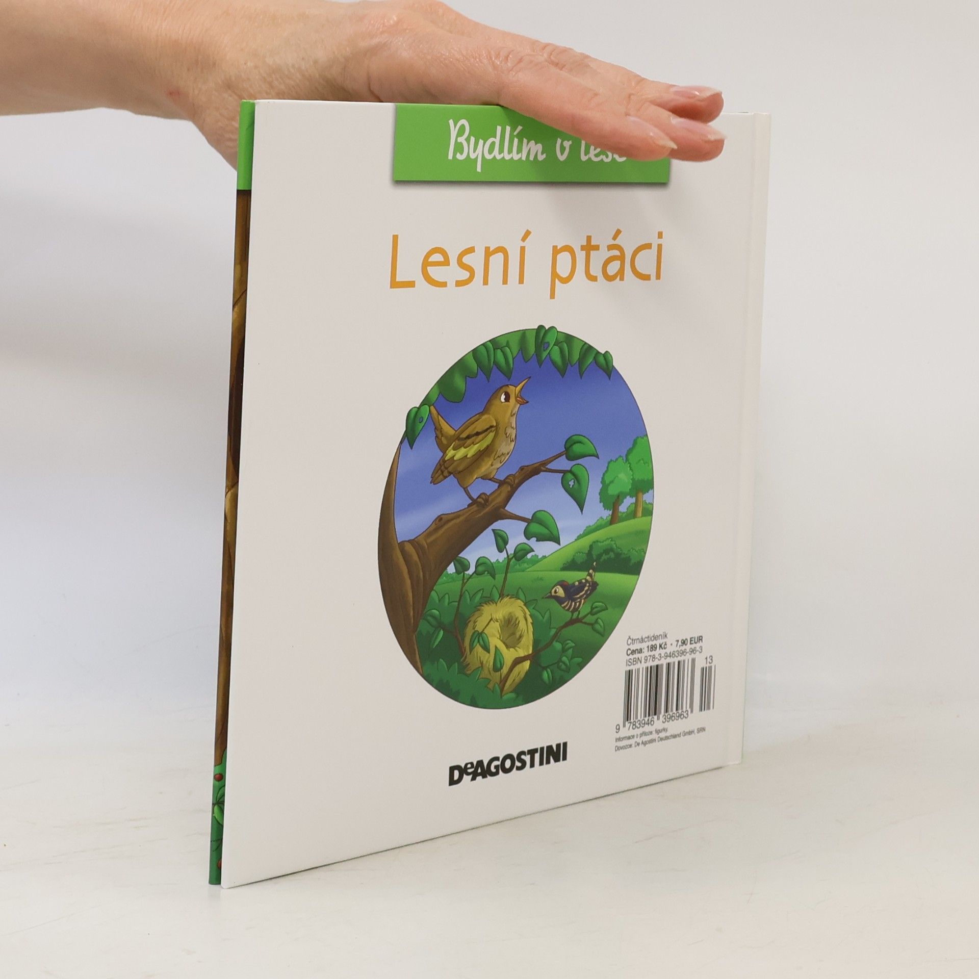 Petra Zavřelová Bydlím v lese 16. Lesní ptáci