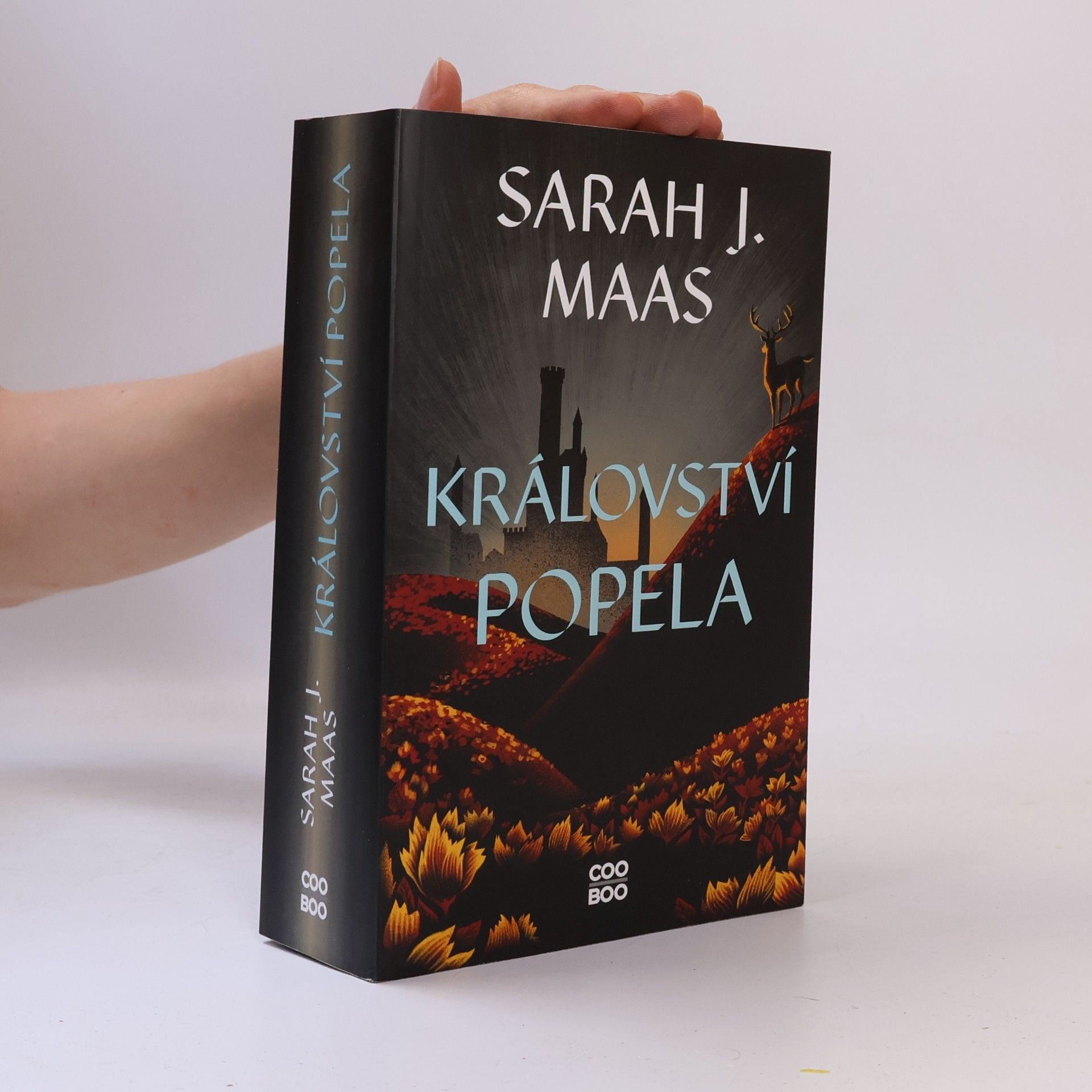 Sarah J. Maas Království popela