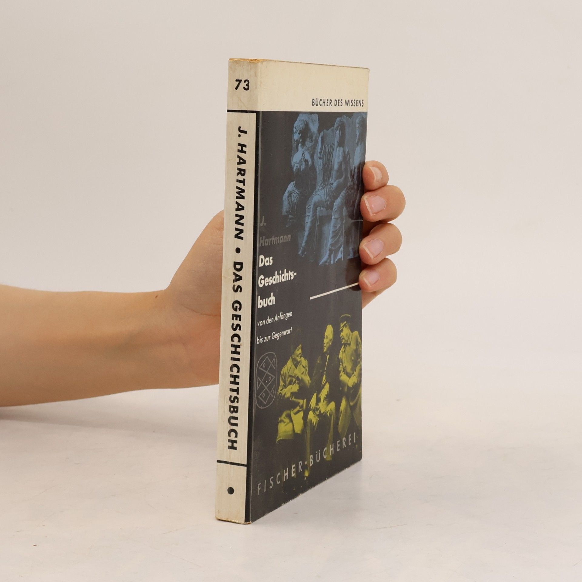 Johannes Hartmann Das Geschichtsbuch von den Anfängen bis zur Gegenwart