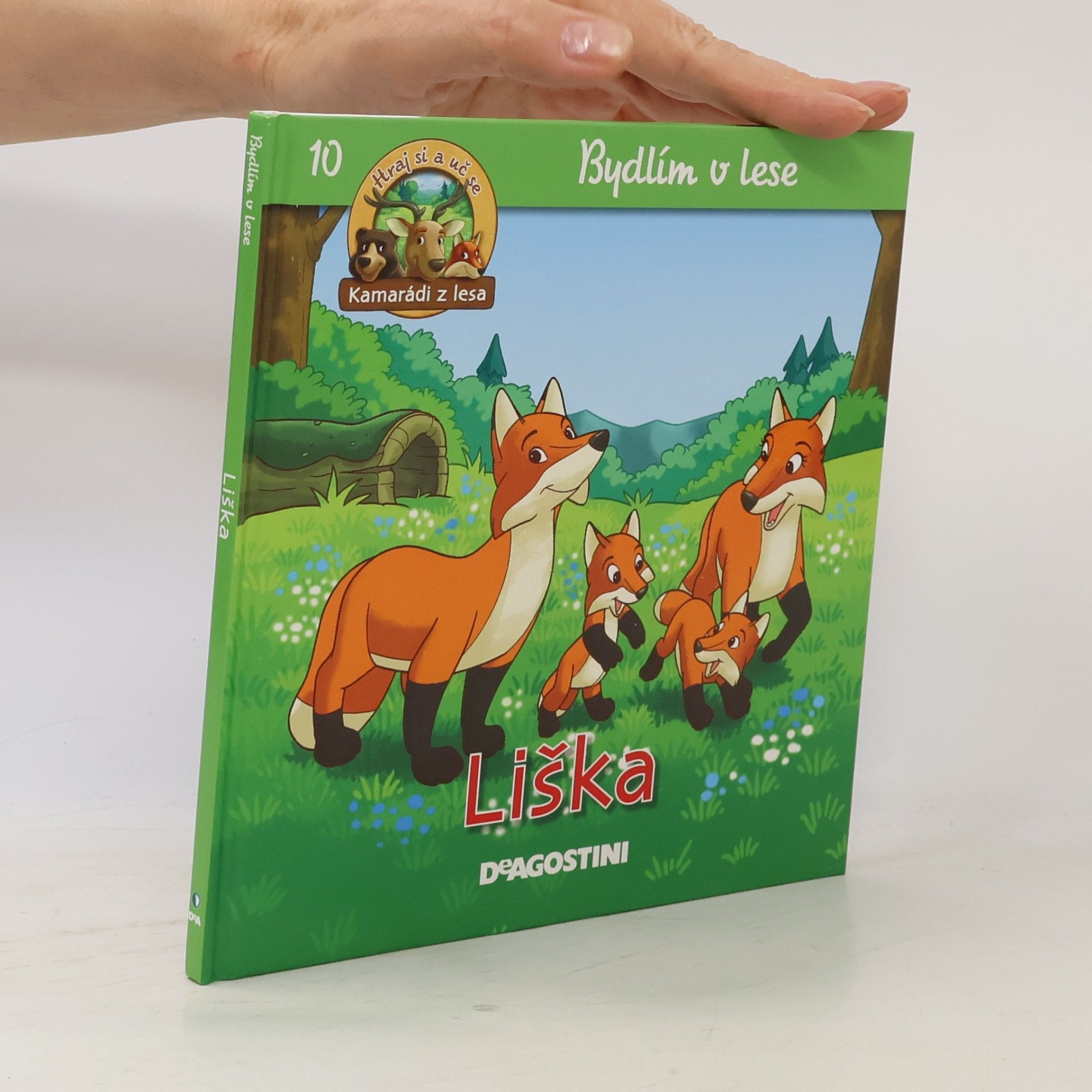 Autorenkollektiv Bydlím v lese 10. Liška