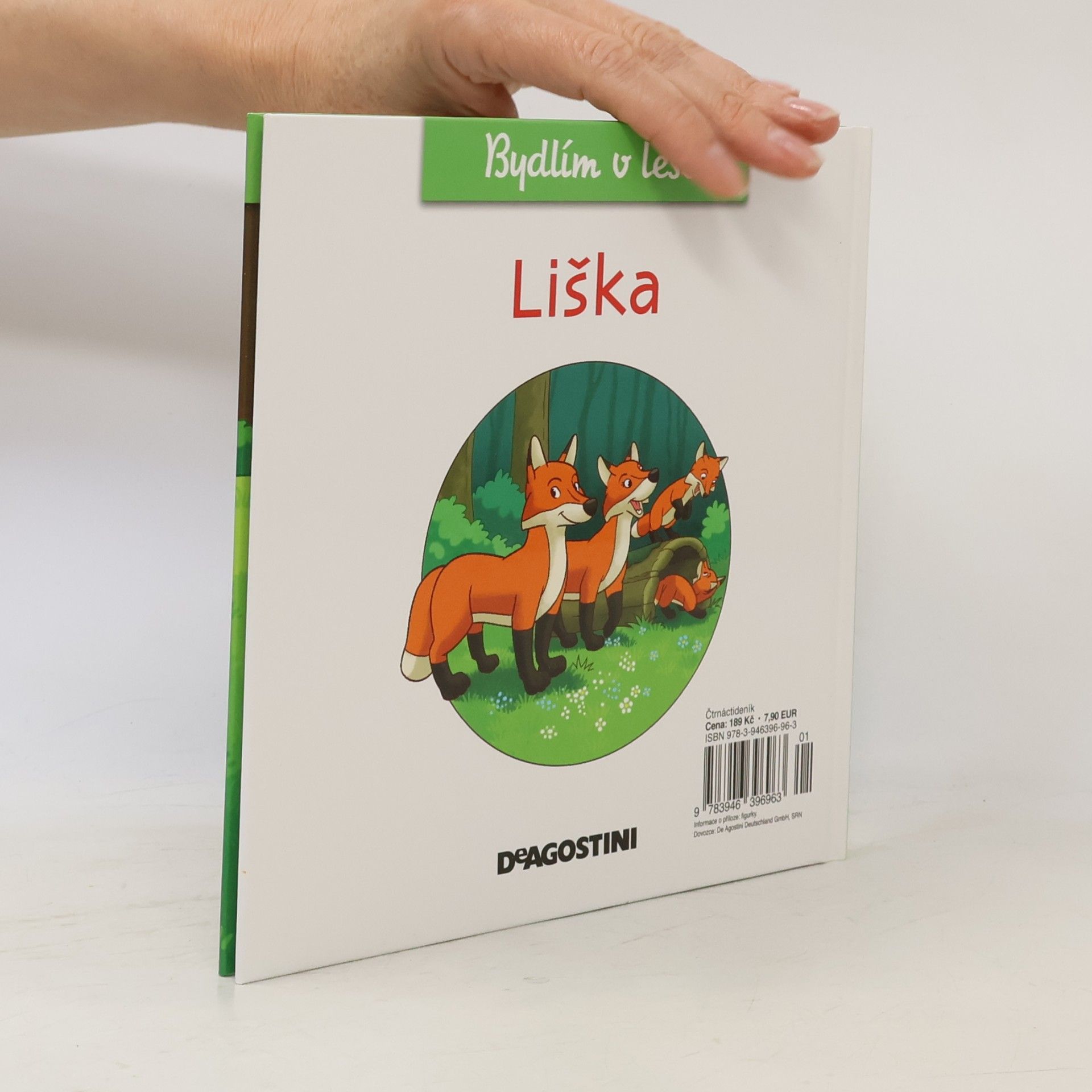 Autorenkollektiv Bydlím v lese 10. Liška