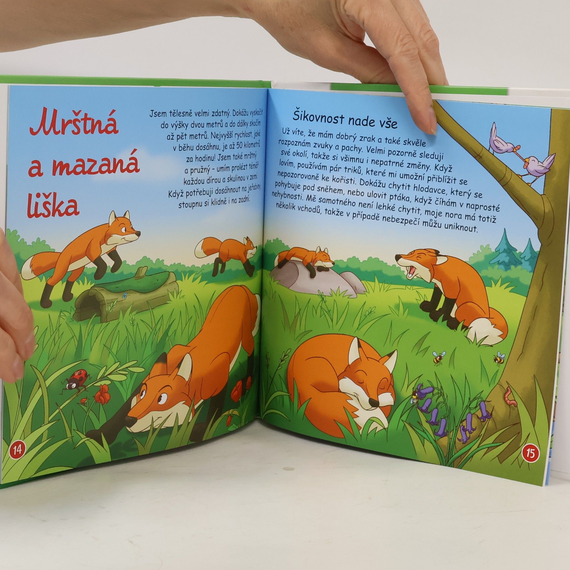 Autorenkollektiv Bydlím v lese 10. Liška
