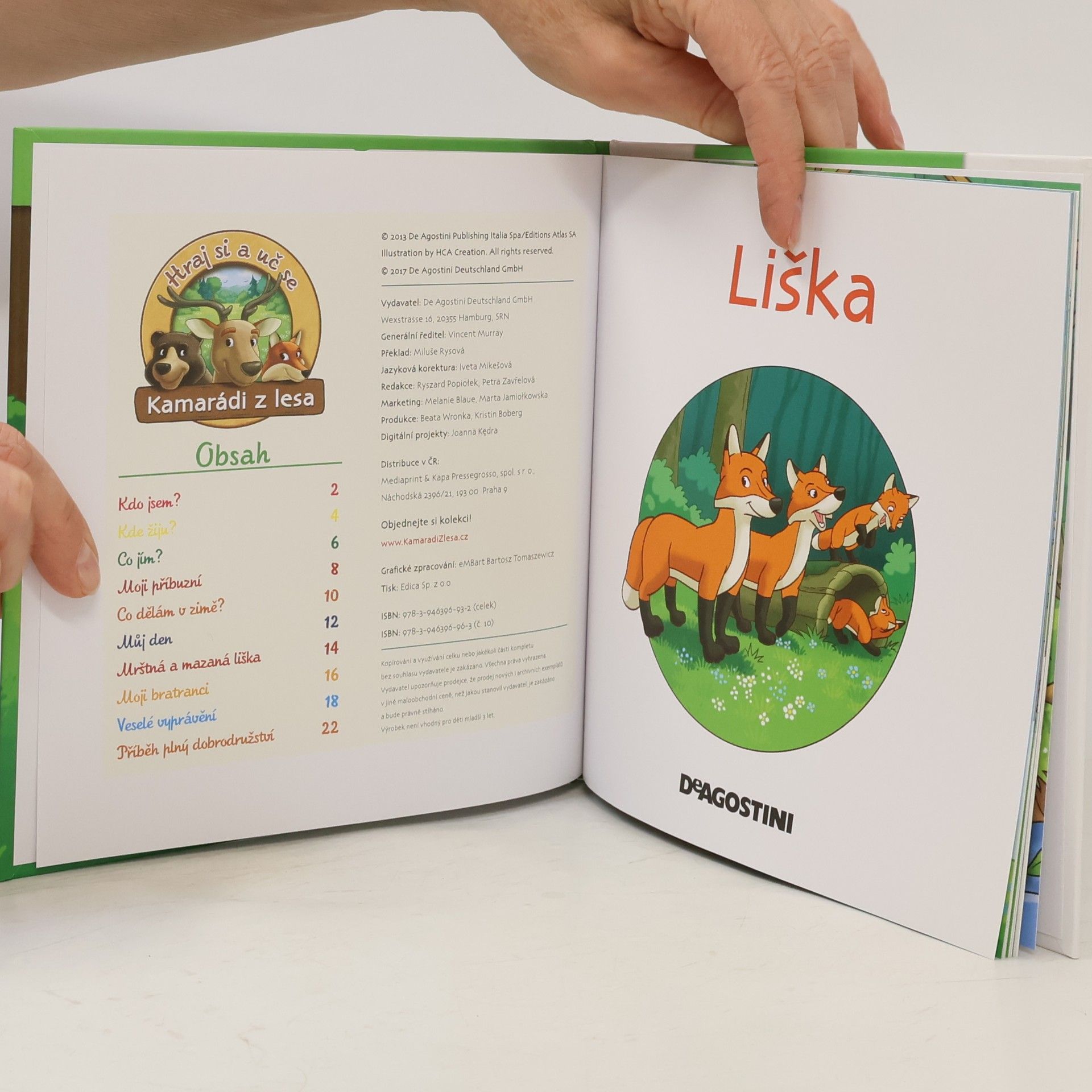 Autorenkollektiv Bydlím v lese 10. Liška