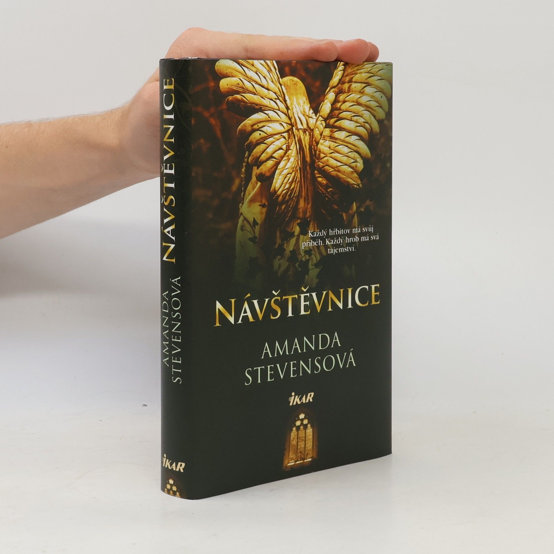 Amanda Stevens Návštěvnice