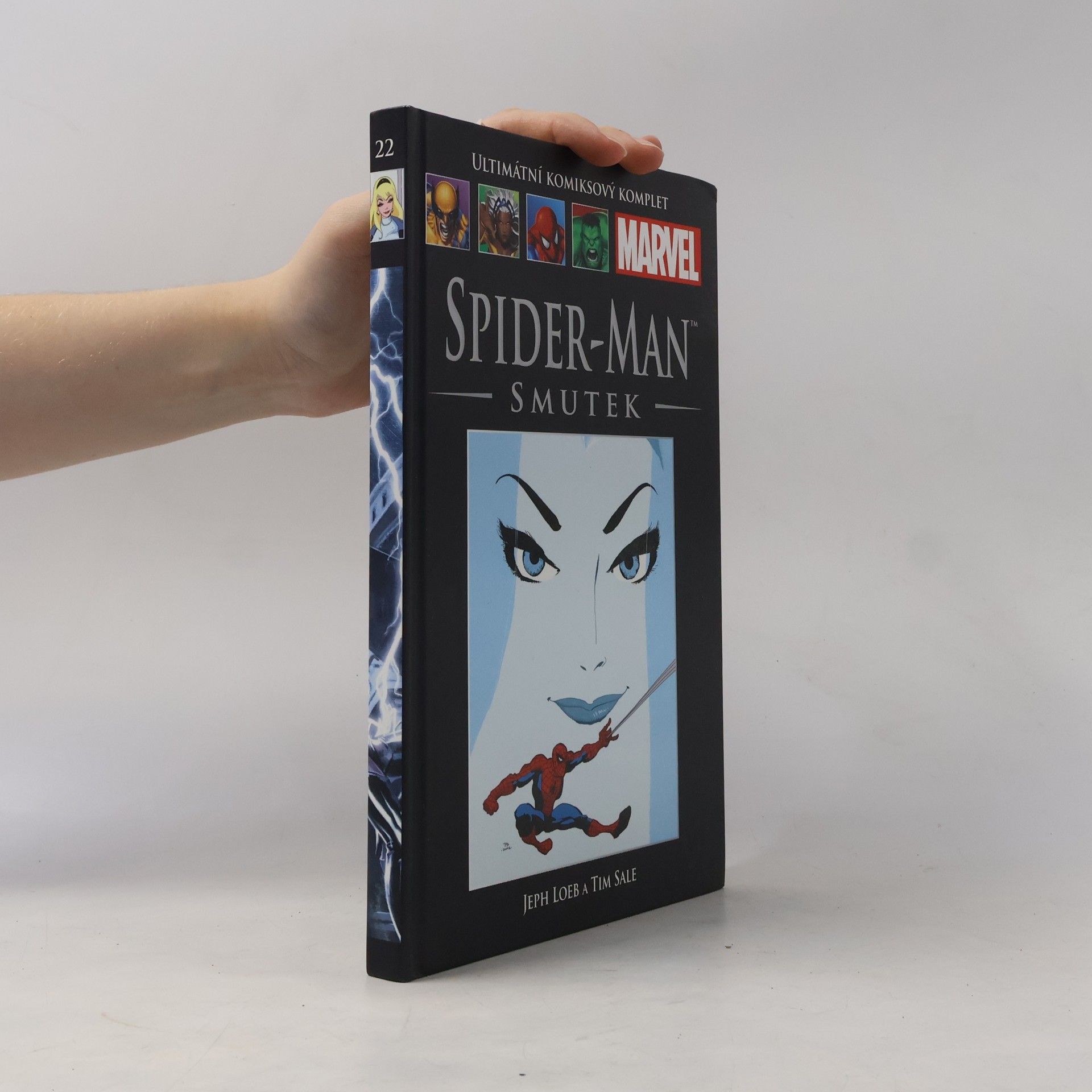 Jeph Loeb Spider-Man. Smutek