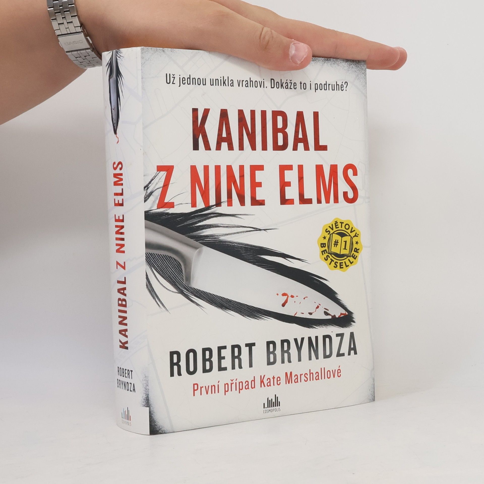 Robert Bryndza Kanibal z Nine Elms