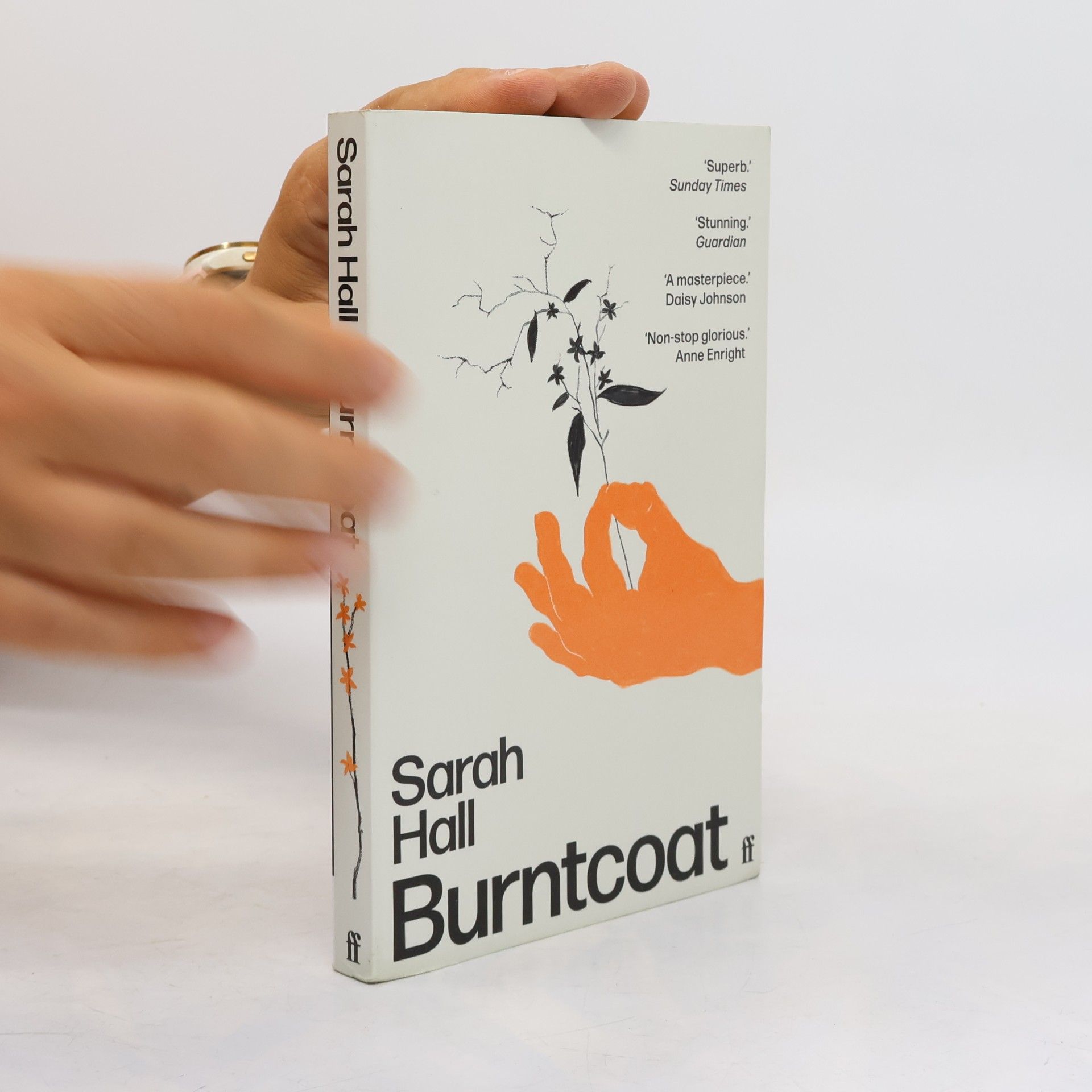 Sarah Hall Burntcoat