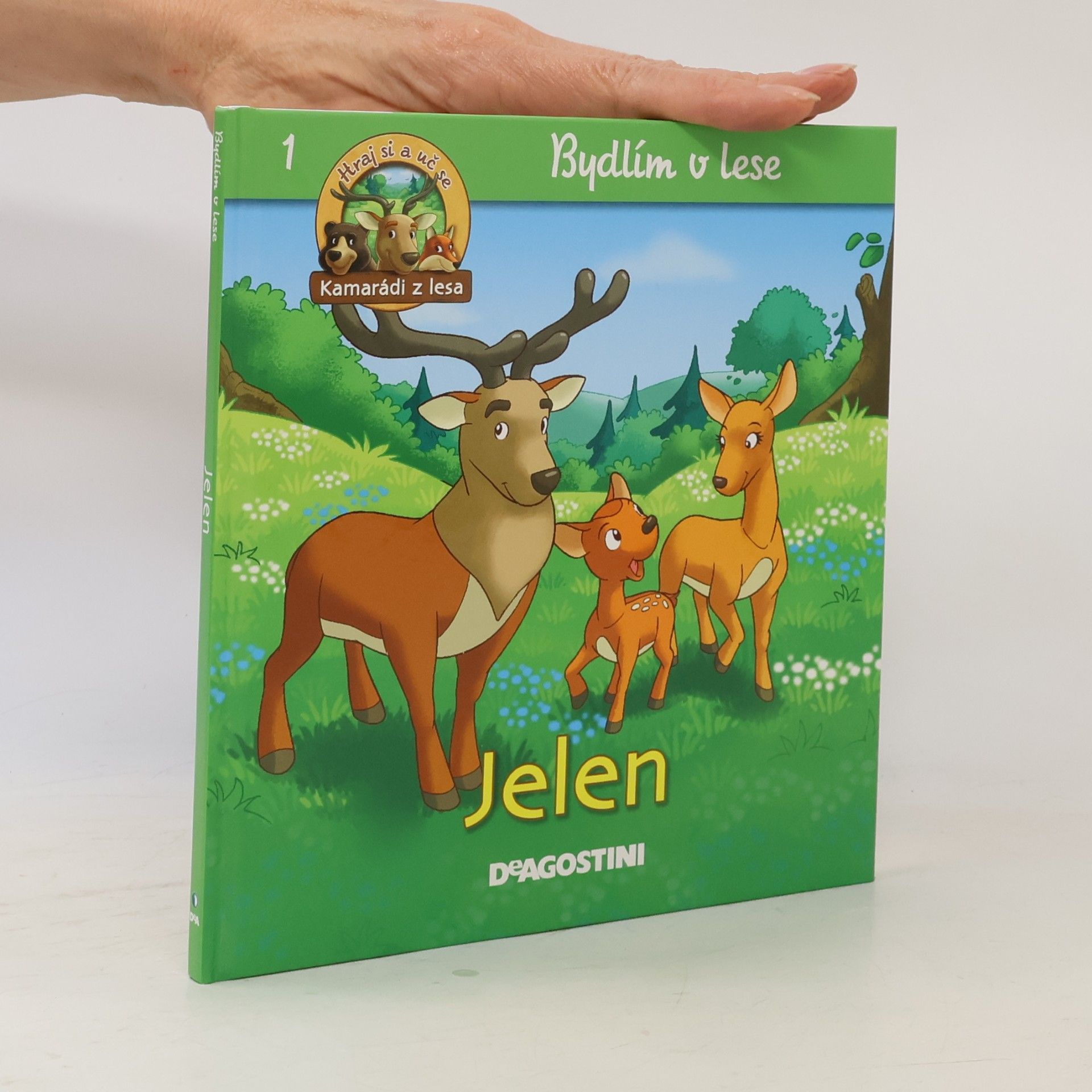 Autorenkollektiv Bydlím v lese 1. Jelen