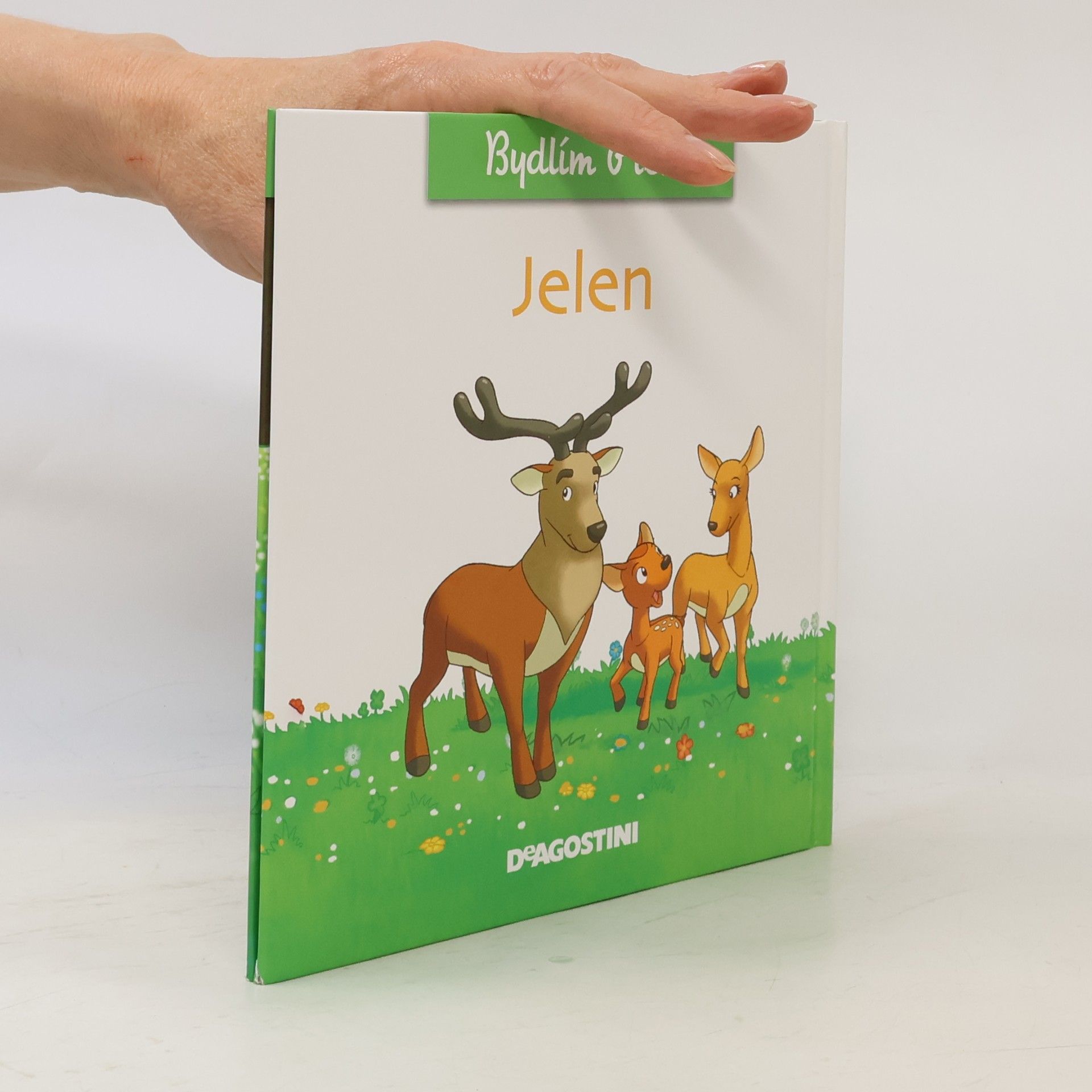 Autorenkollektiv Bydlím v lese 1. Jelen