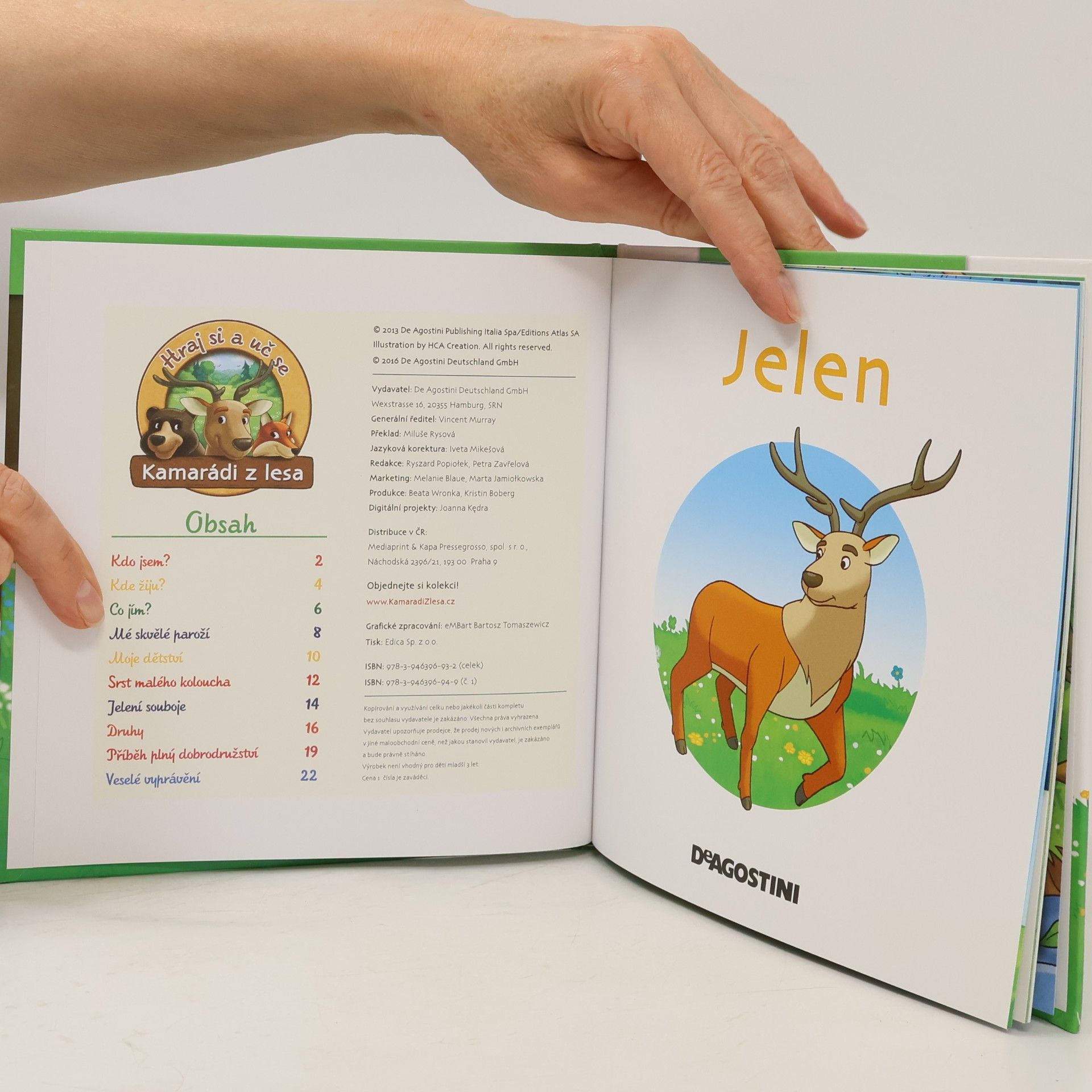 Autorenkollektiv Bydlím v lese 1. Jelen