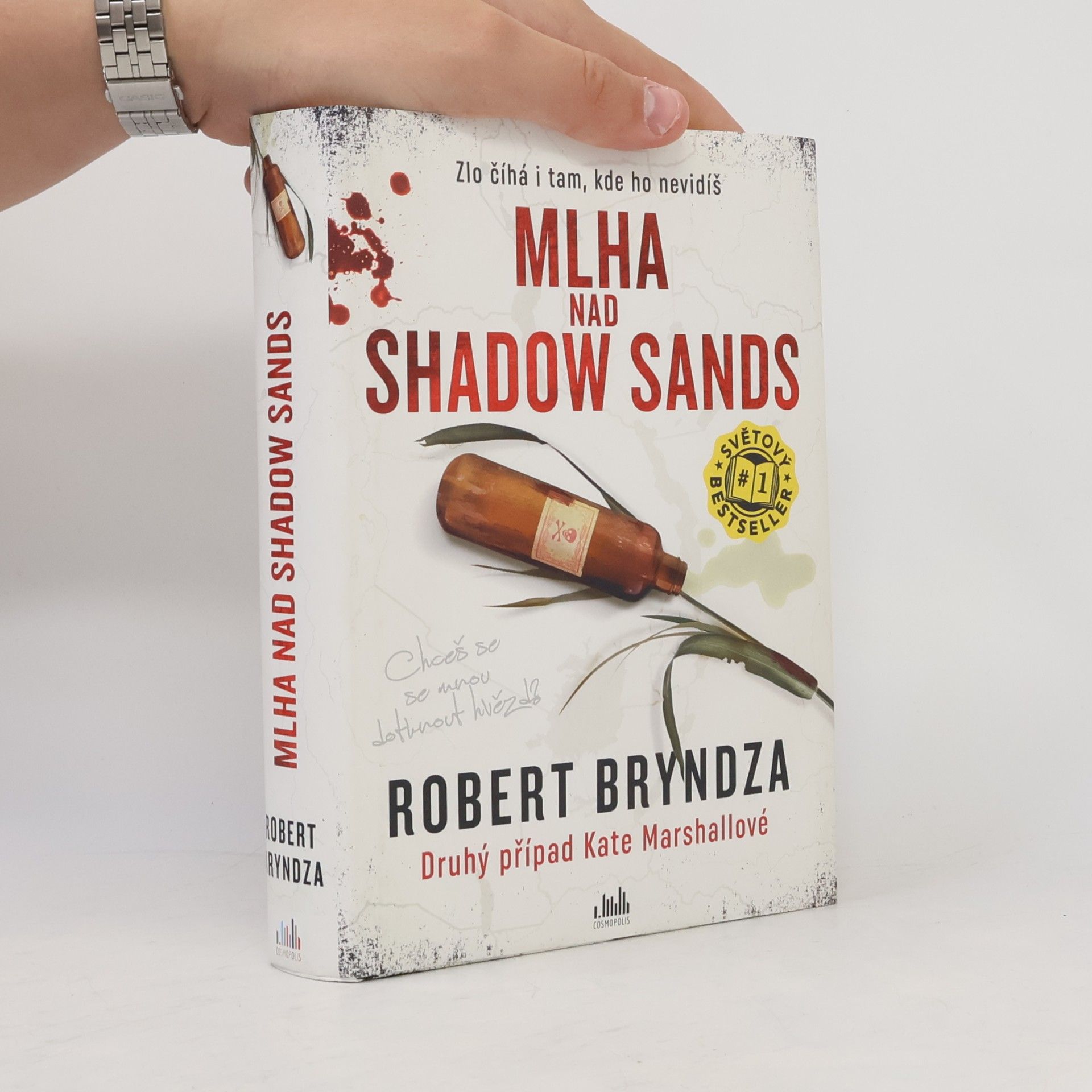 Robert Bryndza Mlha nad Shadow Sands