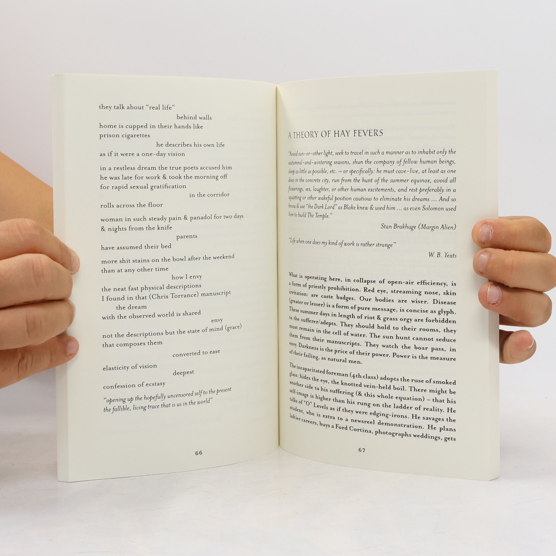 Iain Sinclair Lud Heat
