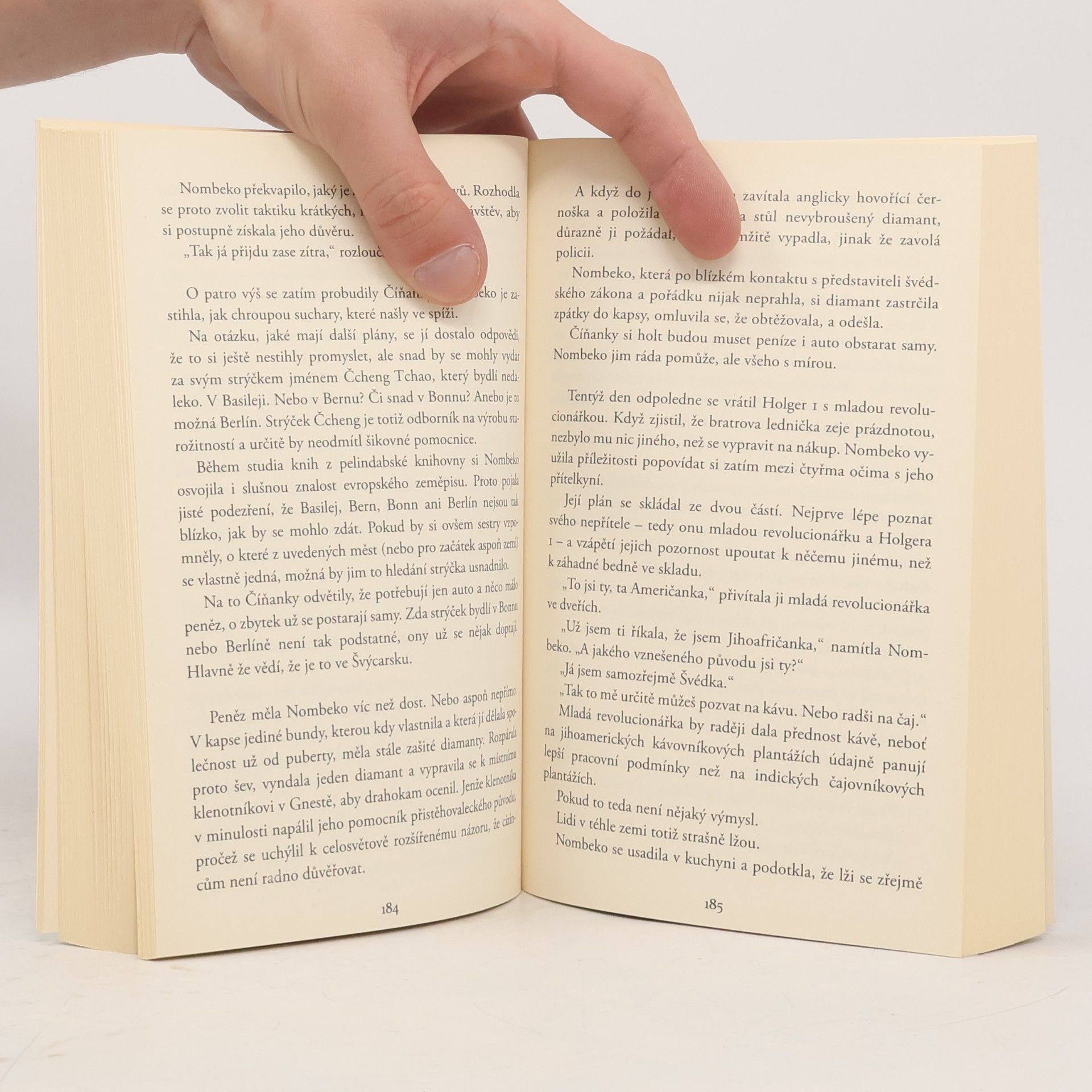 Jonas Jonasson Analfabetka, která uměla počítat
