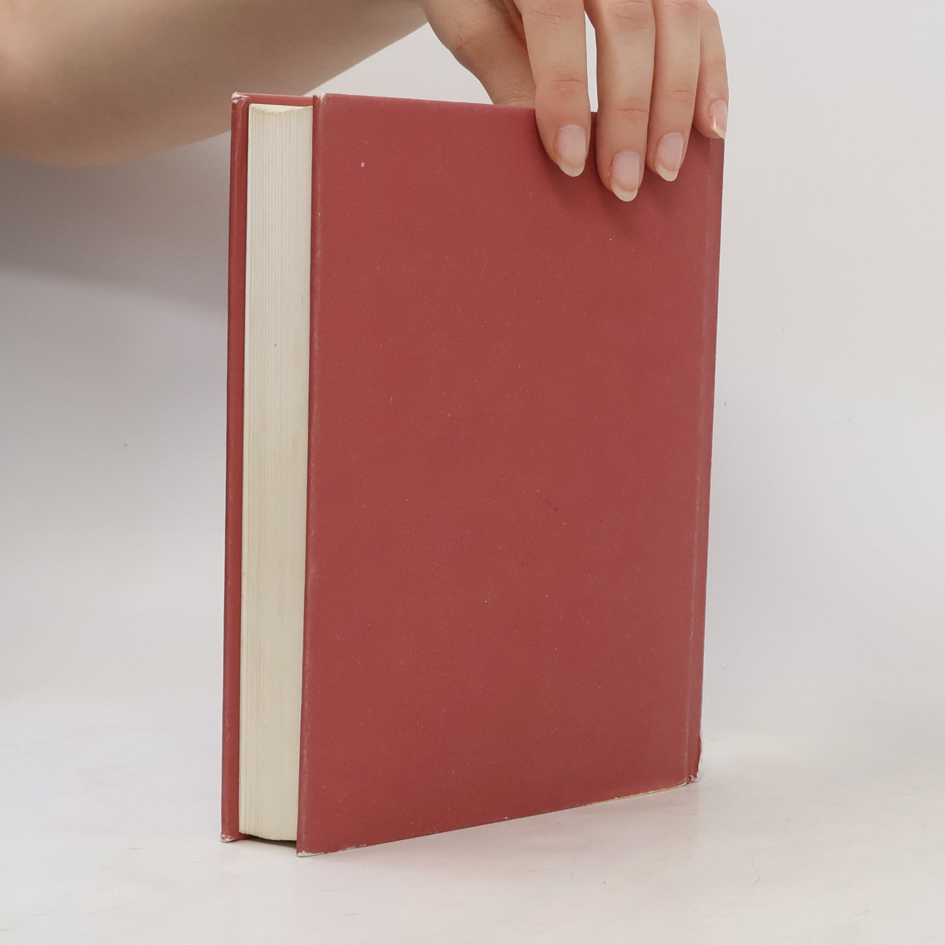 Rose Tremain Hudba a ticho