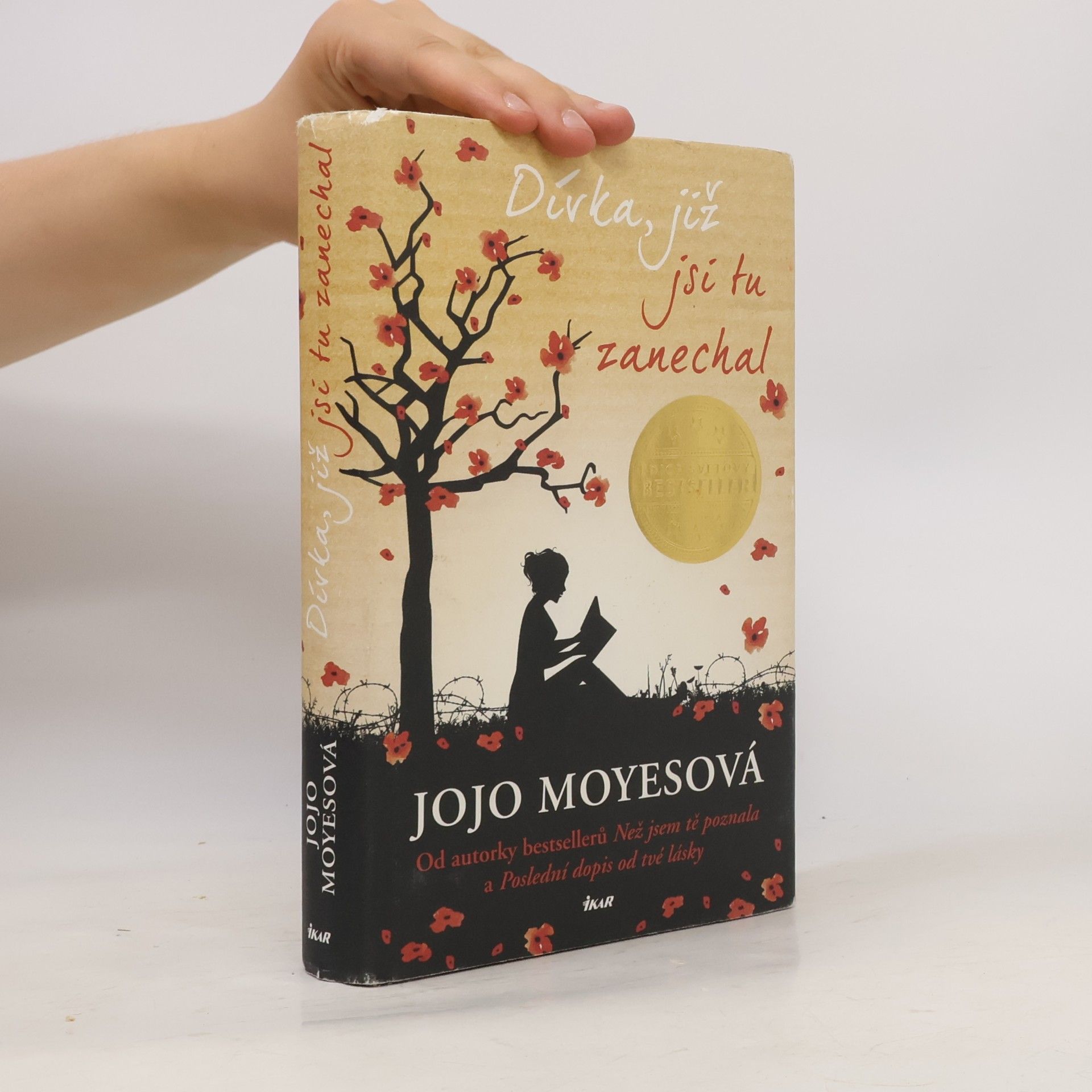 Jojo Moyes Dívka, již jsi tu zanechal