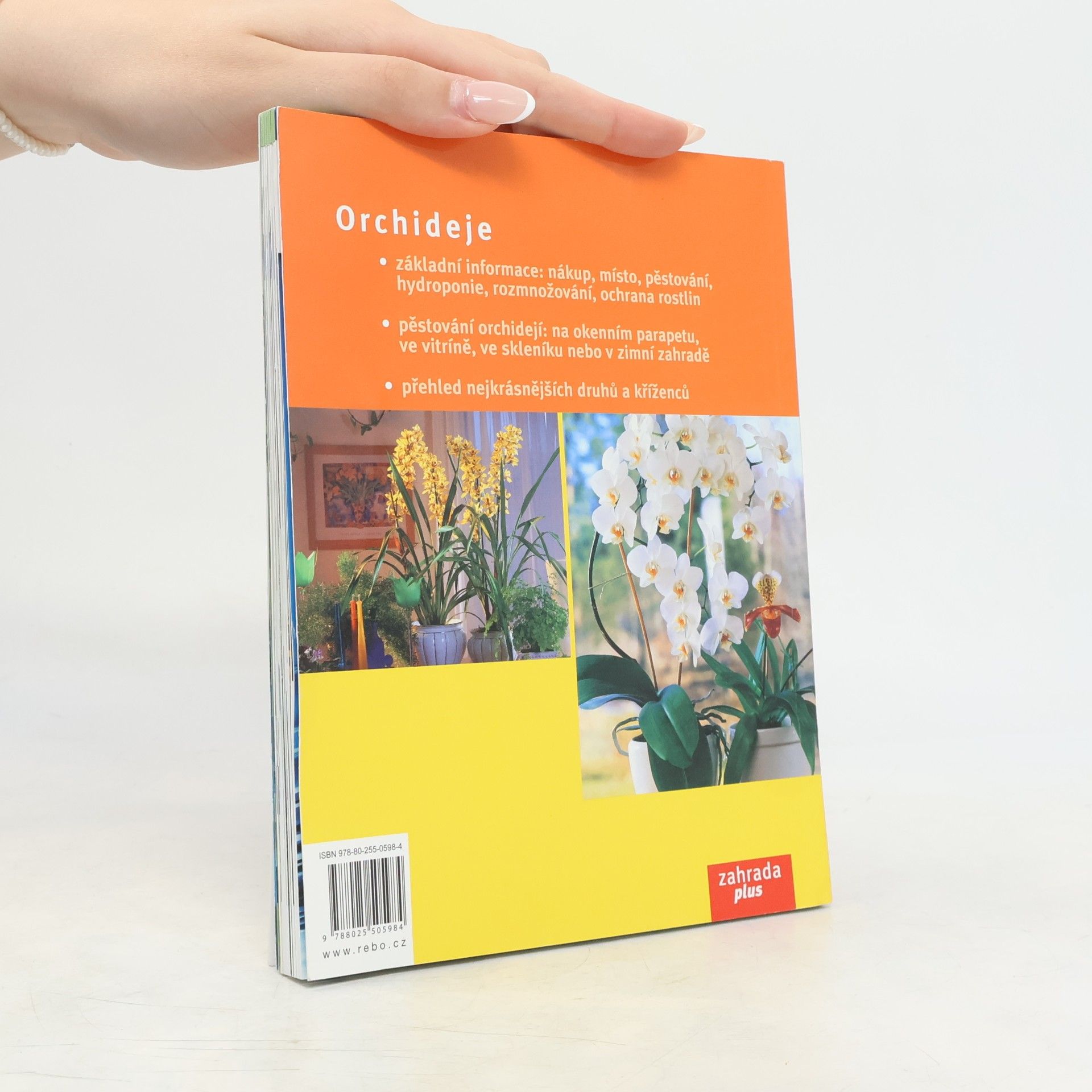 Jörn Pinske Orchideje : nejkrásnější druhy a hybridy : výběr, pěstování