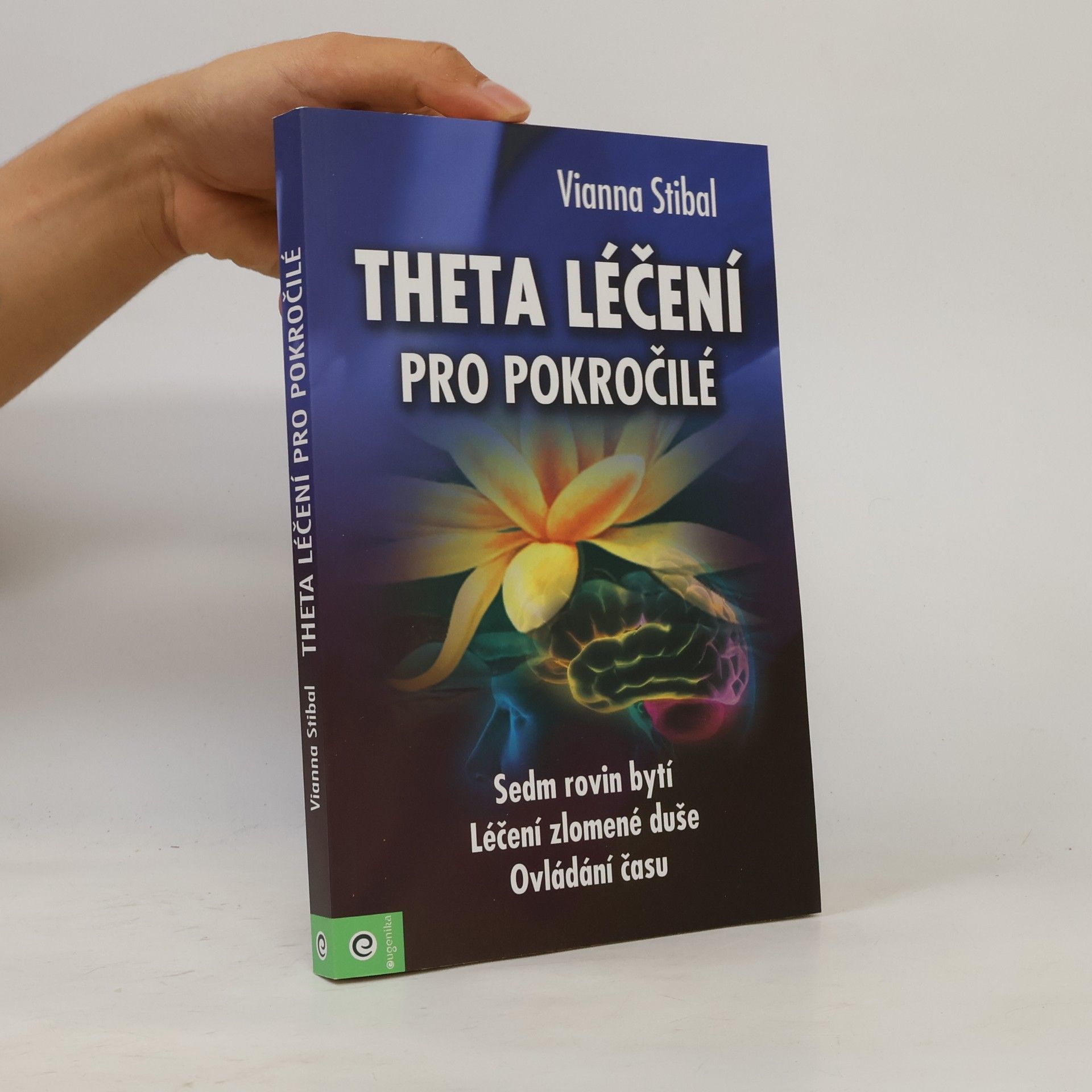 Vianna Stibal Theta léčení pro pokročilé