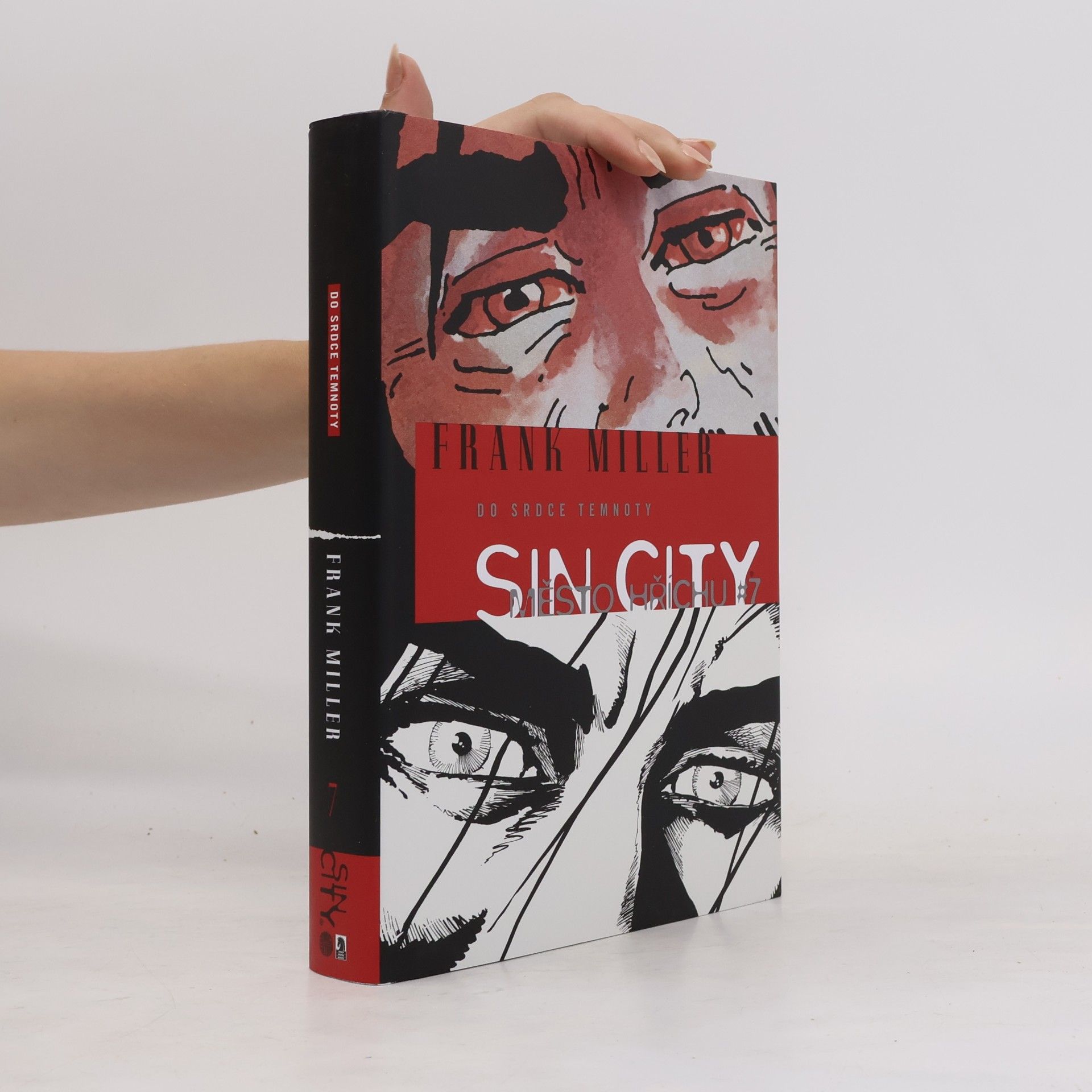 Sin City. Město hříchu 7. Do srdce temnoty (vázaná)