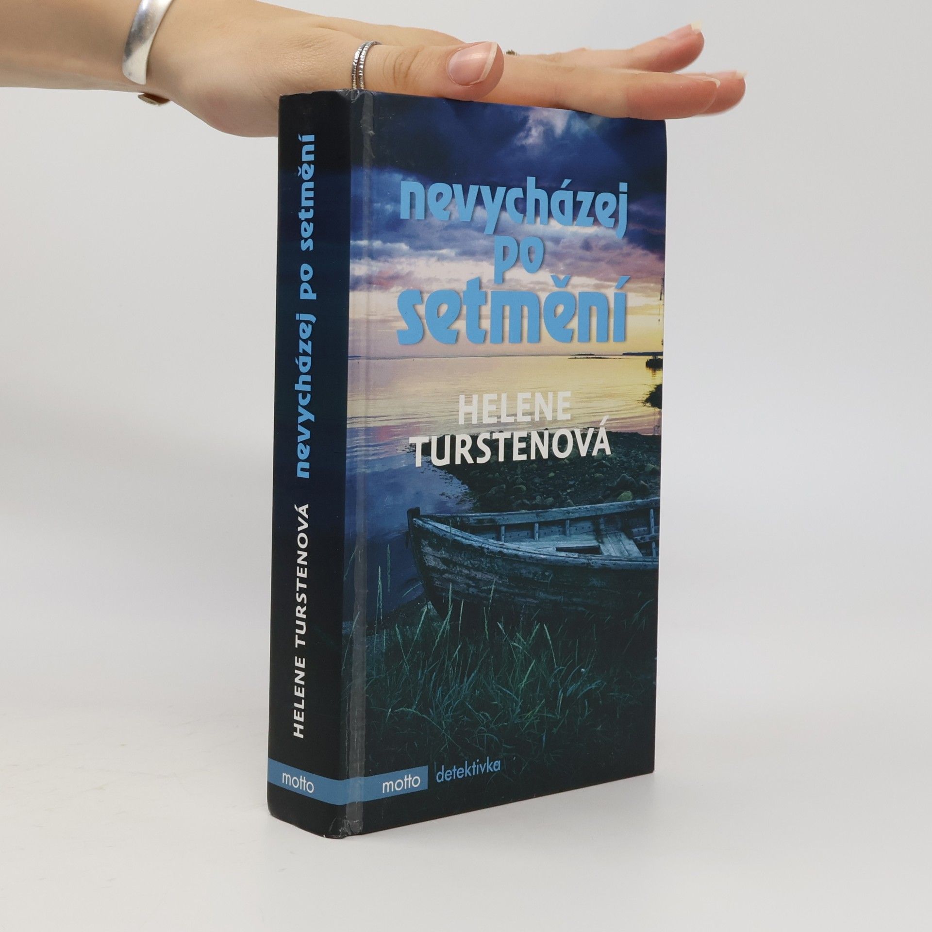 Helene Tursten Nevycházej po setmění