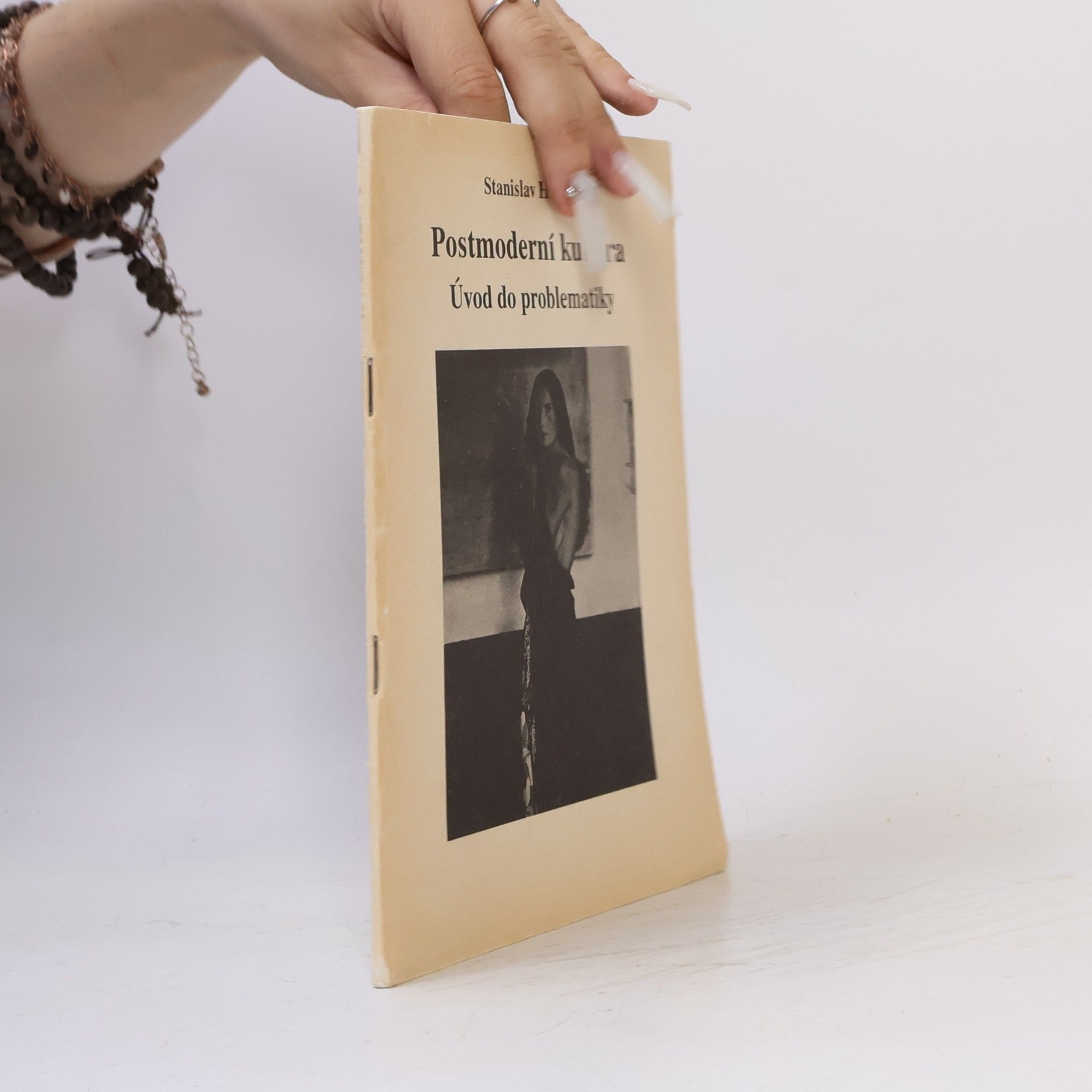 Postmoderní kultura : úvod do problematiky