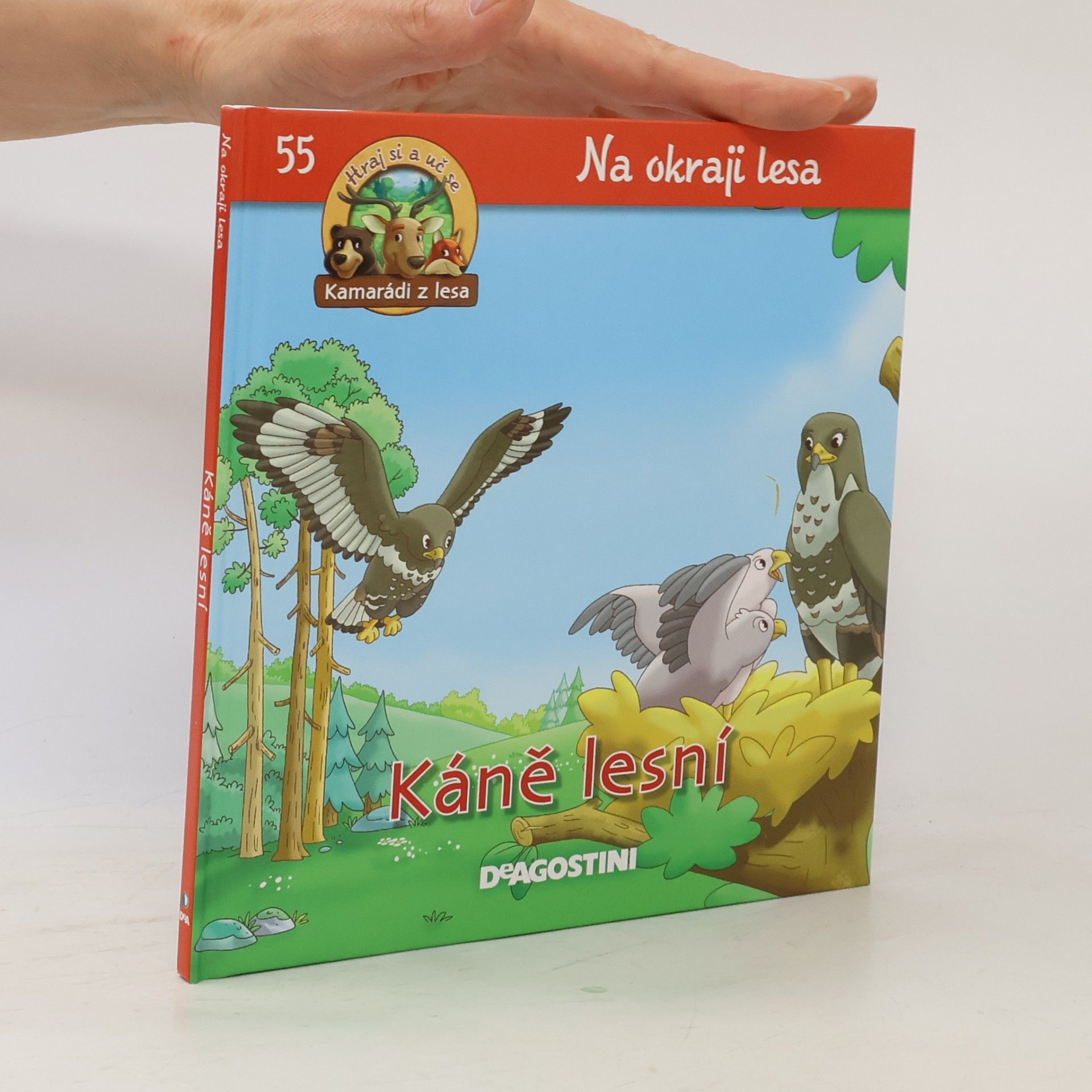 Na okraji lesa 55. Káně lesní
