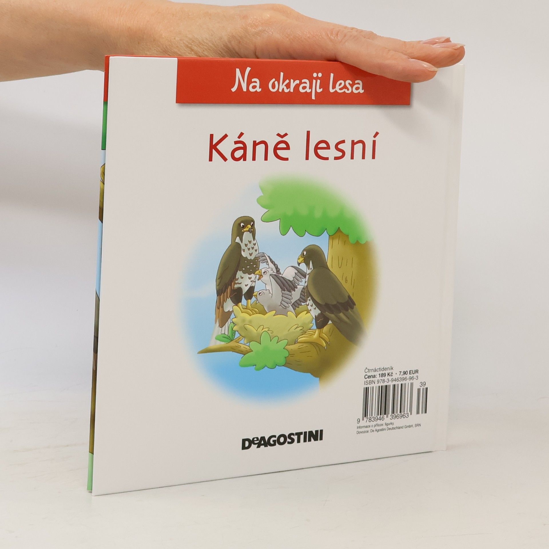 Petra Zavřelová Na okraji lesa 55. Káně lesní