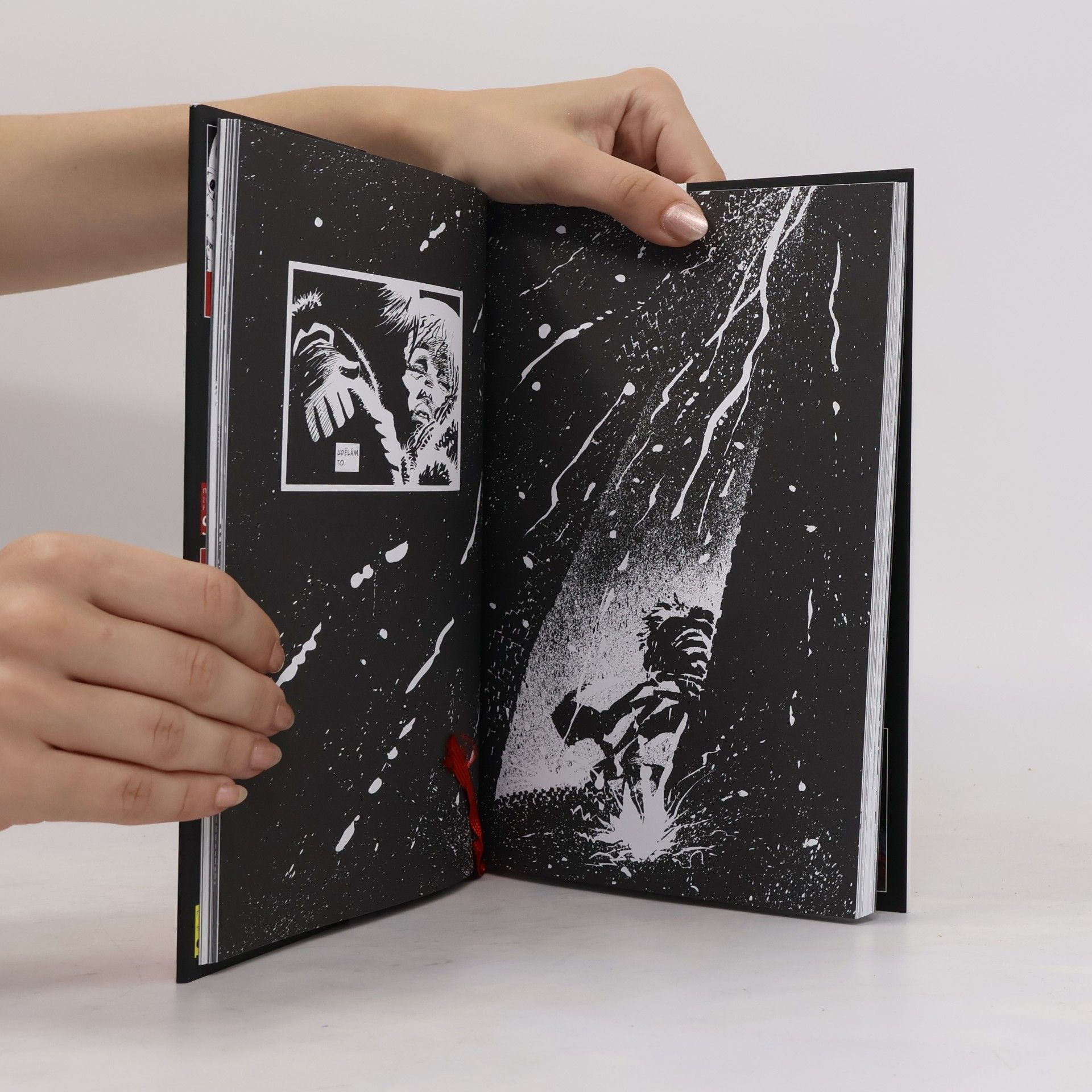 Frank Miller Sin City. Město hříchu 5. Rodinný hodnoty (vázaná)
